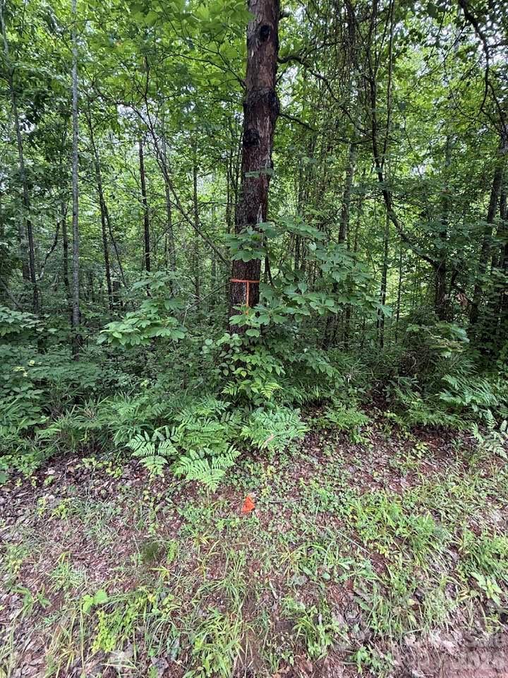 Woodys Estates - Land