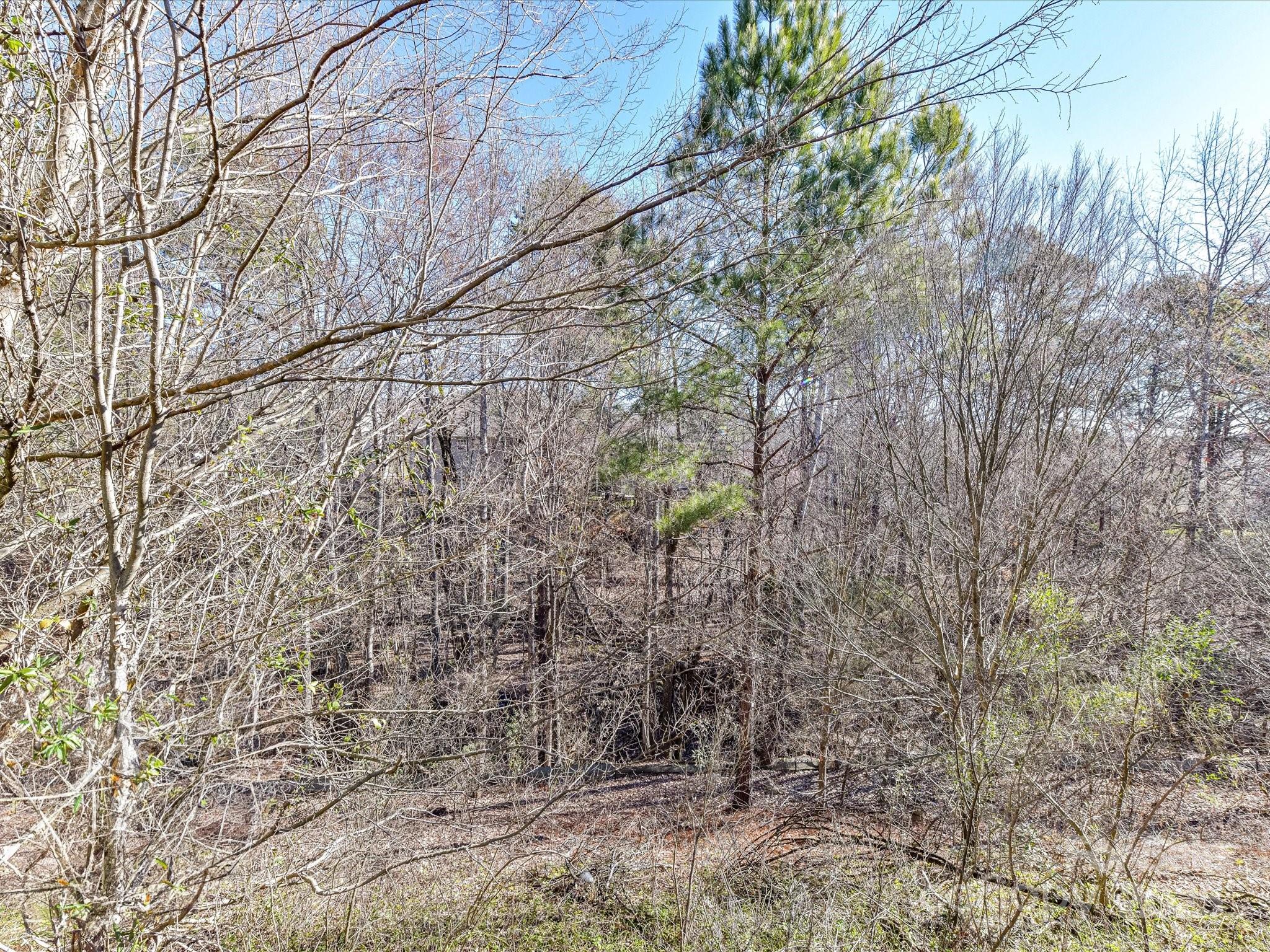 Lake Shore - Residential