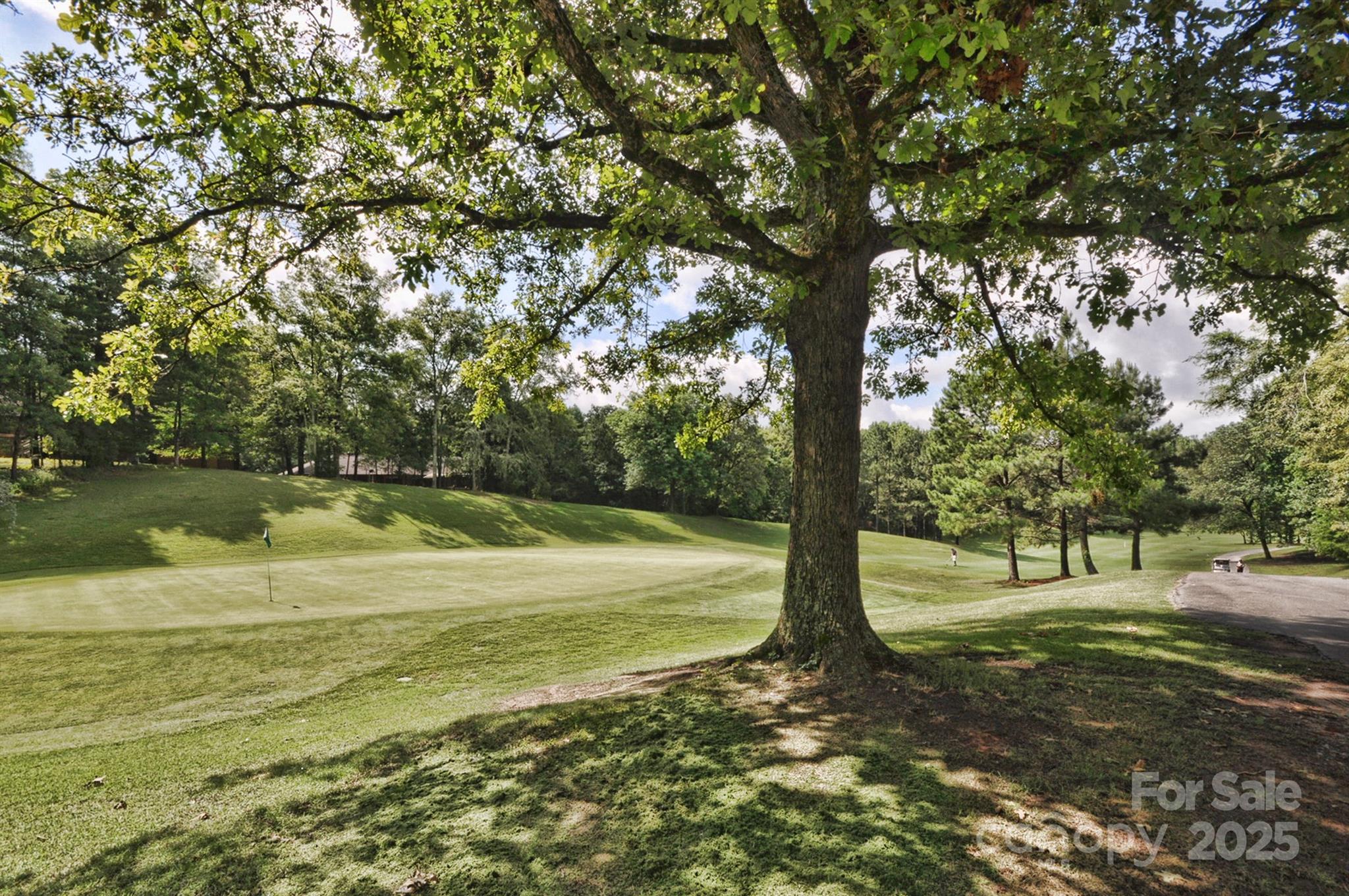 Lake Shore - Residential