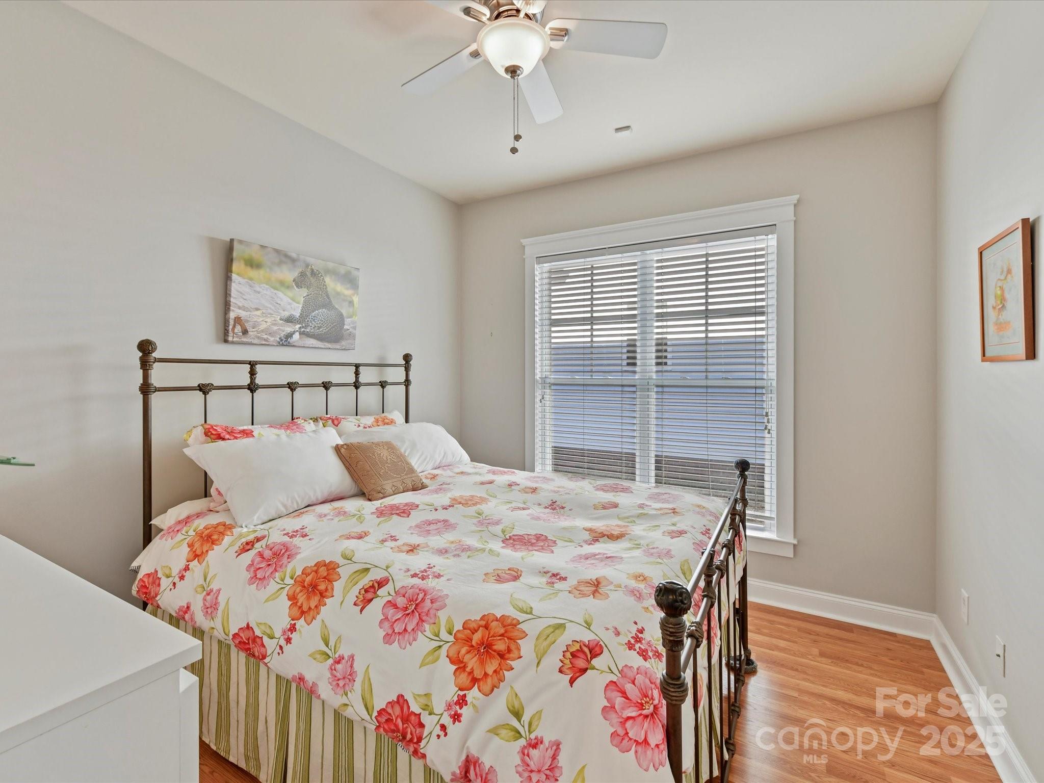 Lake Shore - Residential