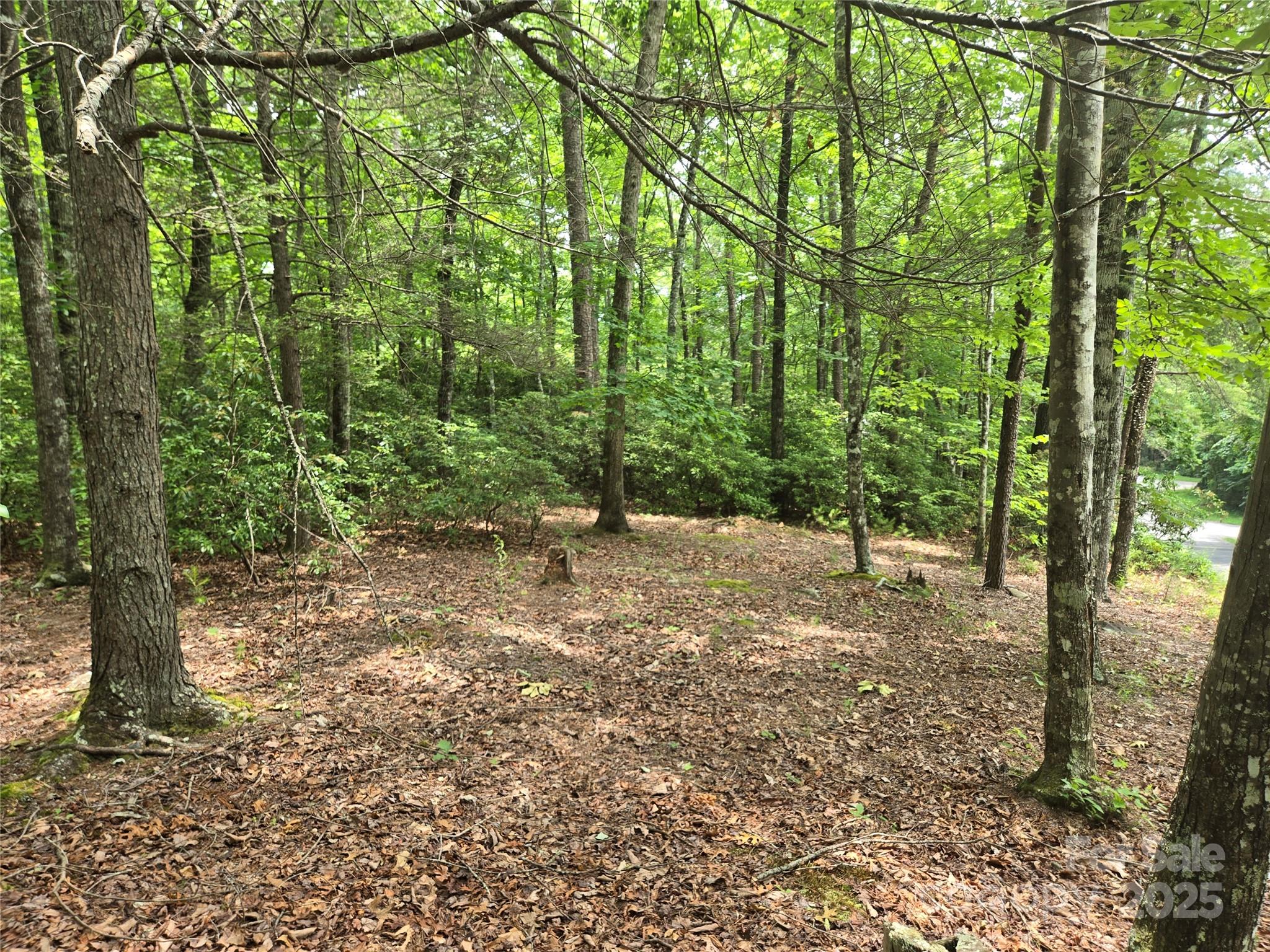 Lot 159 Sullivan Lane
