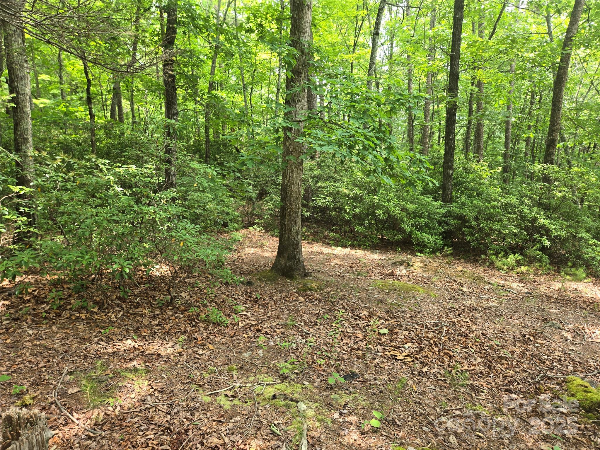 Lot 159 Sullivan Lane