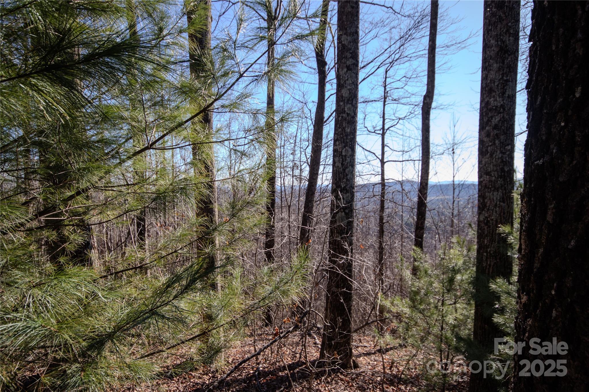 Eagle Heights - Land