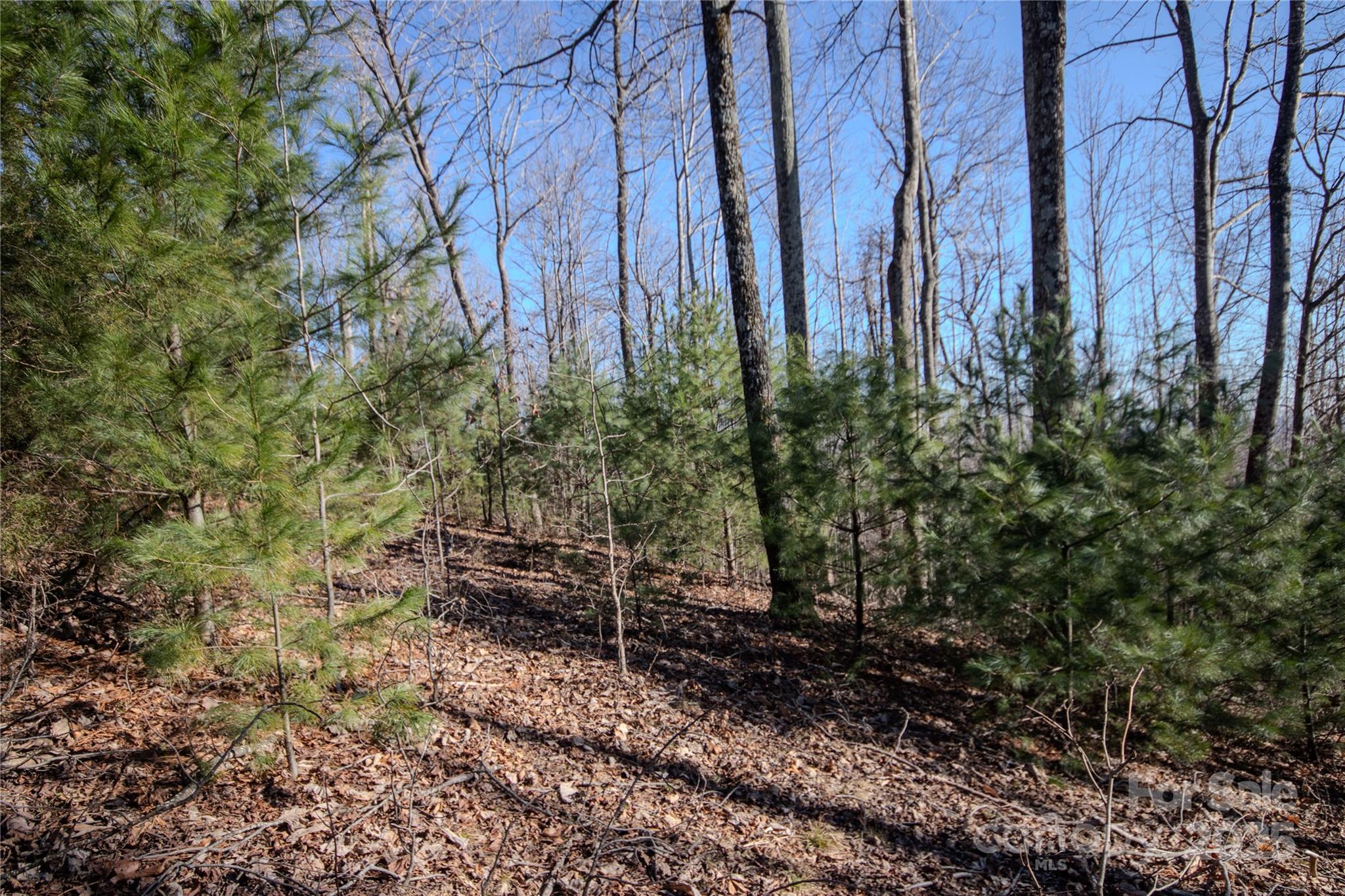 2221 Nighthawk Ridge Court 19