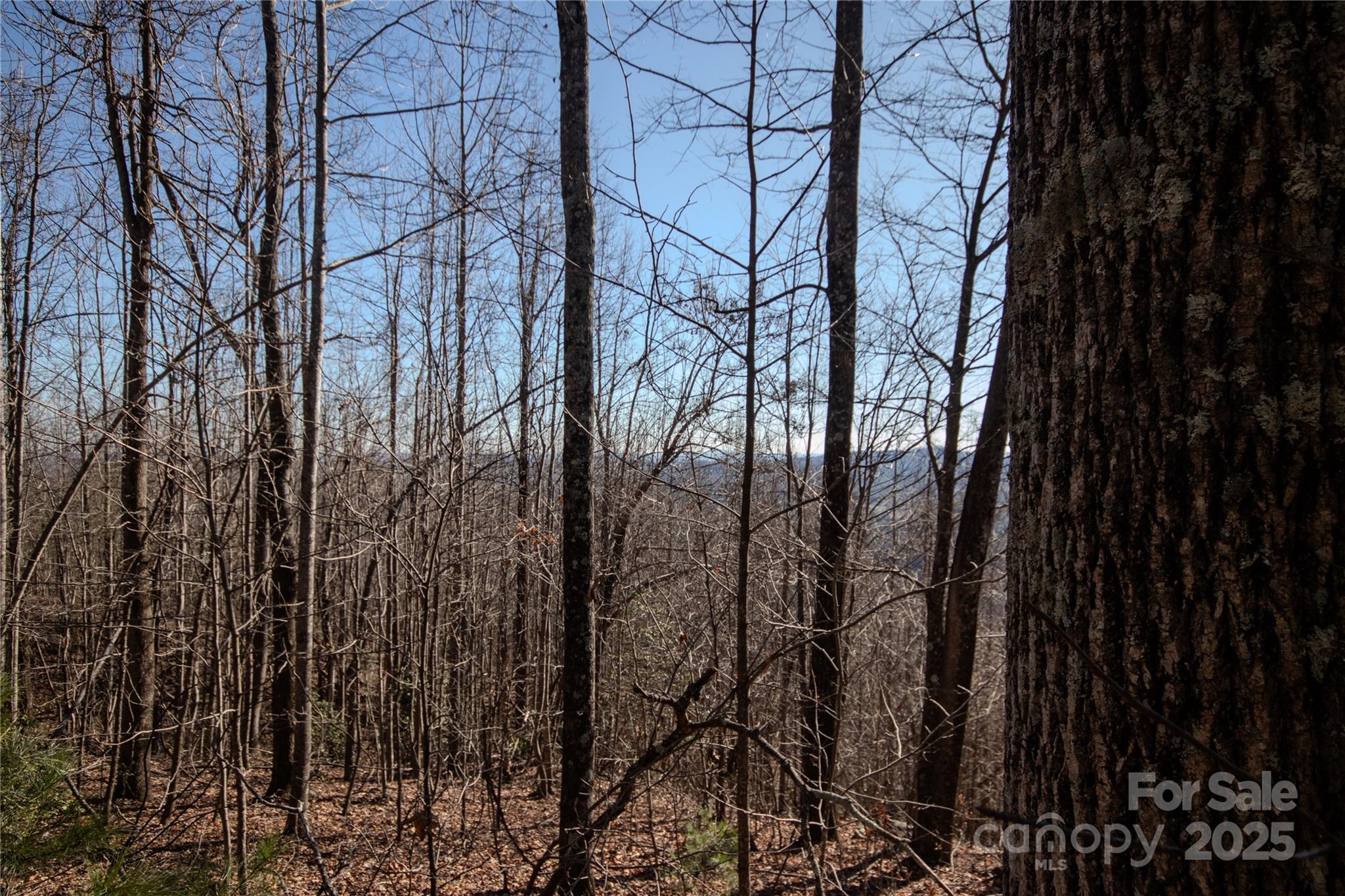 2221 Nighthawk Ridge Court 19