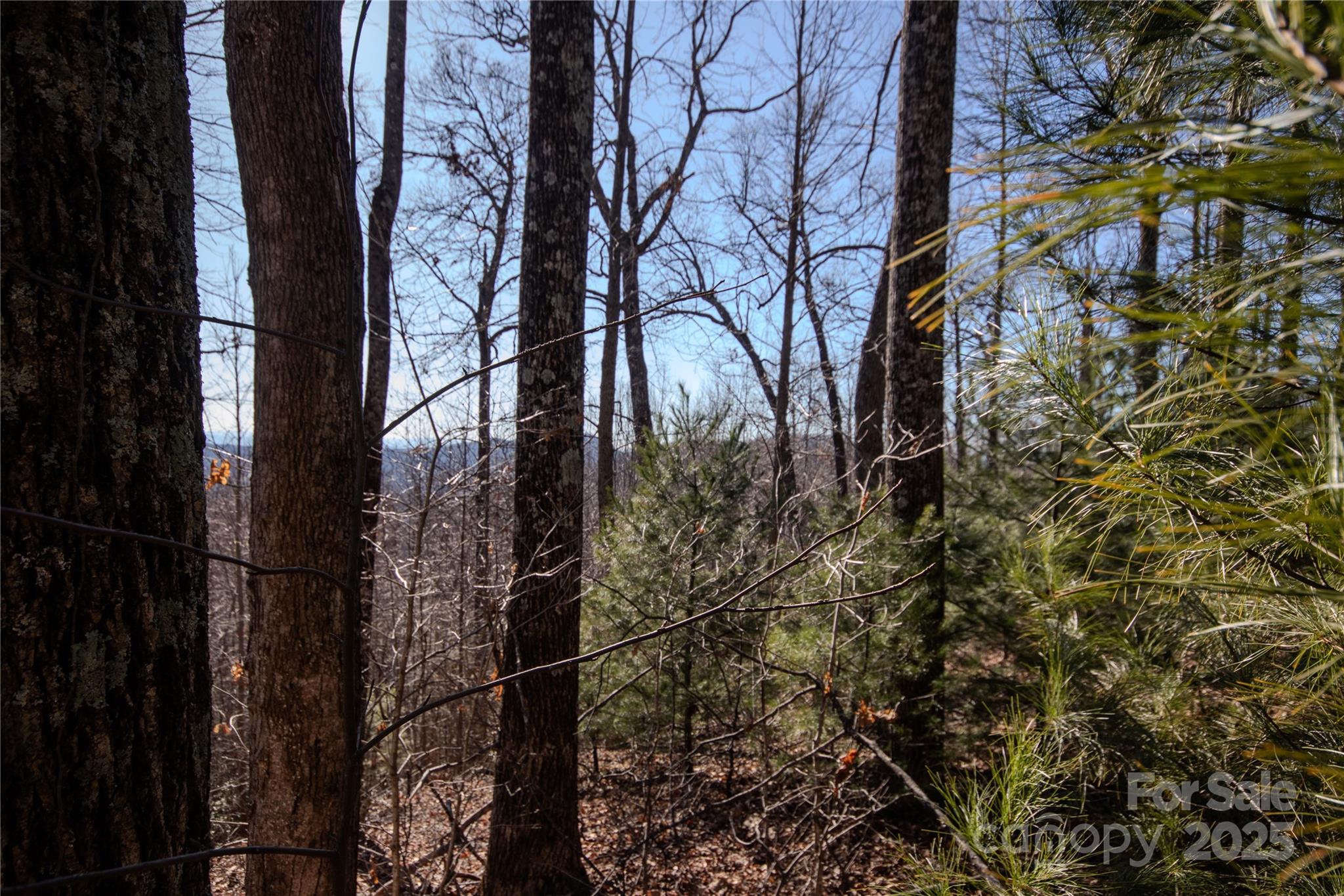 Eagle Heights - Land