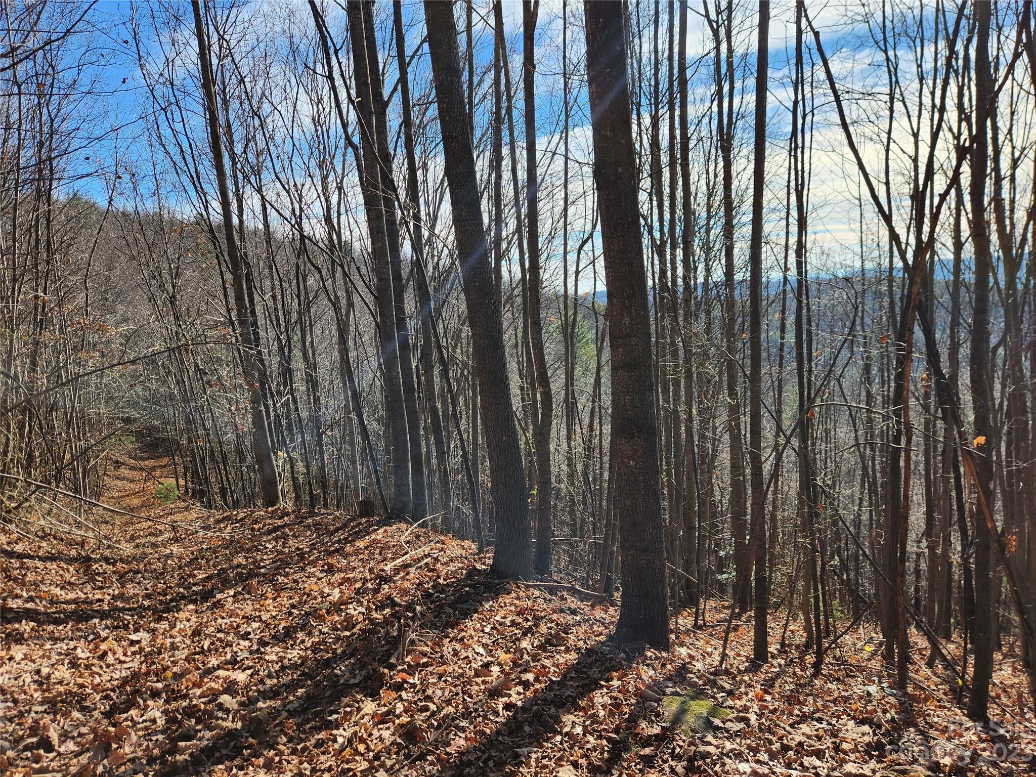 6900 Mertie Road, Millers Creek, NC, 28651