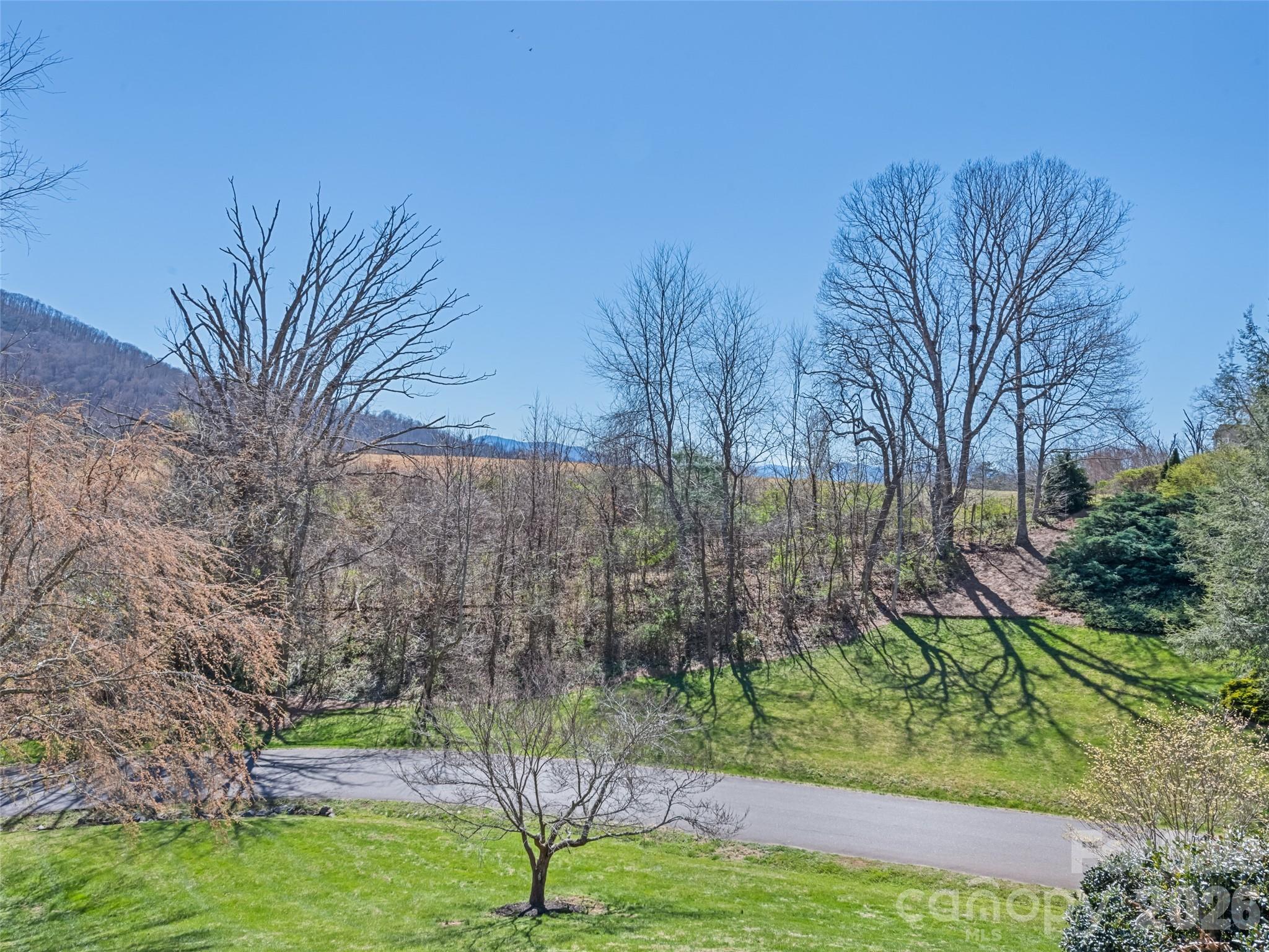 Silent Forest - Residential