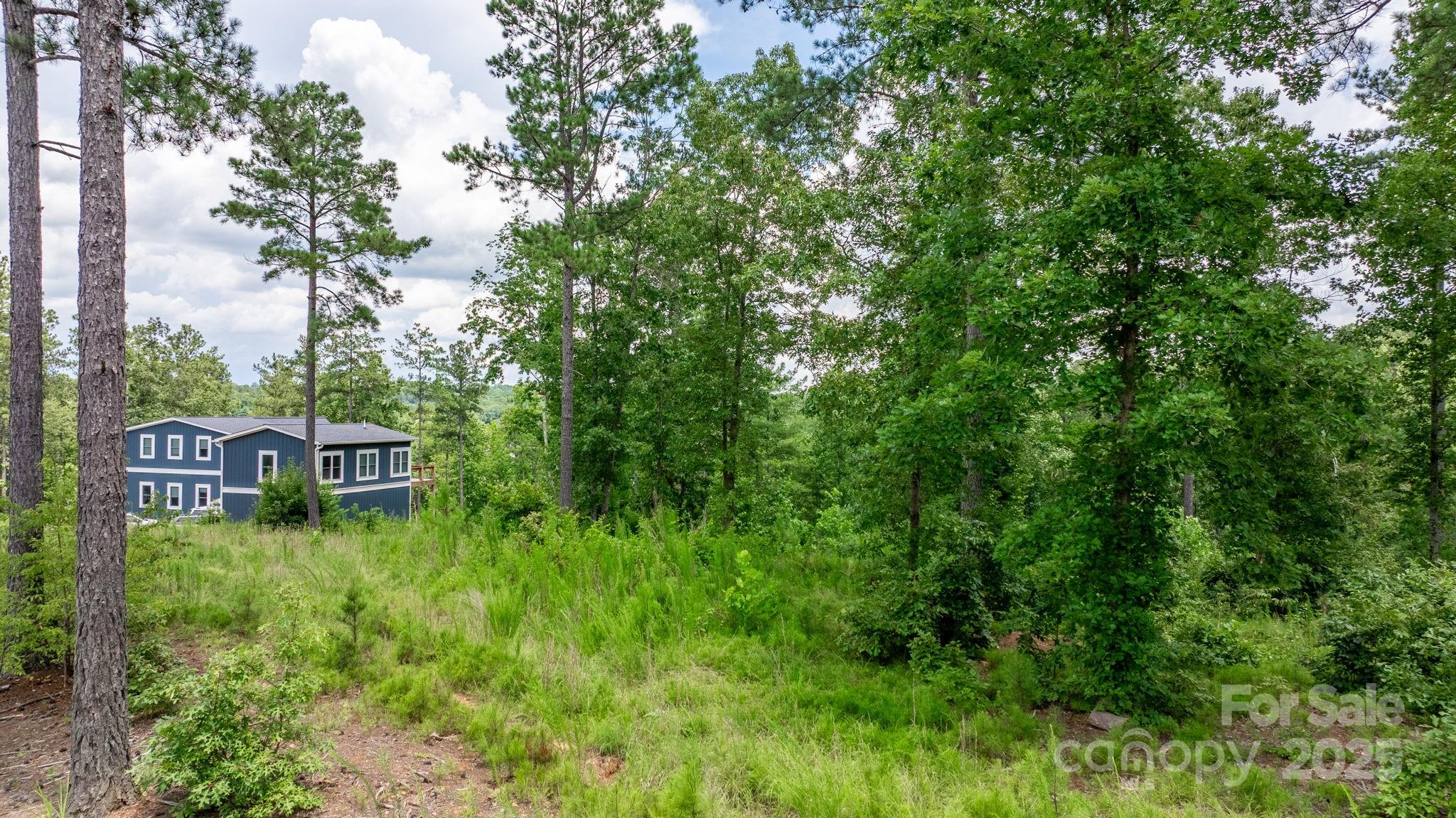 2194 Pikes Peak Ridge 156