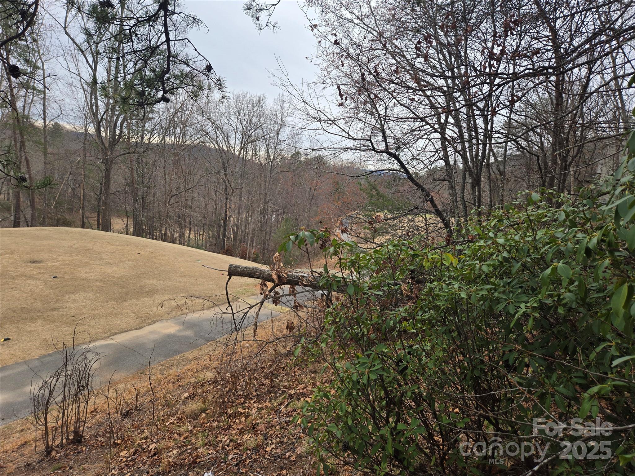 Rumbling Bald on Lake Lure - Land