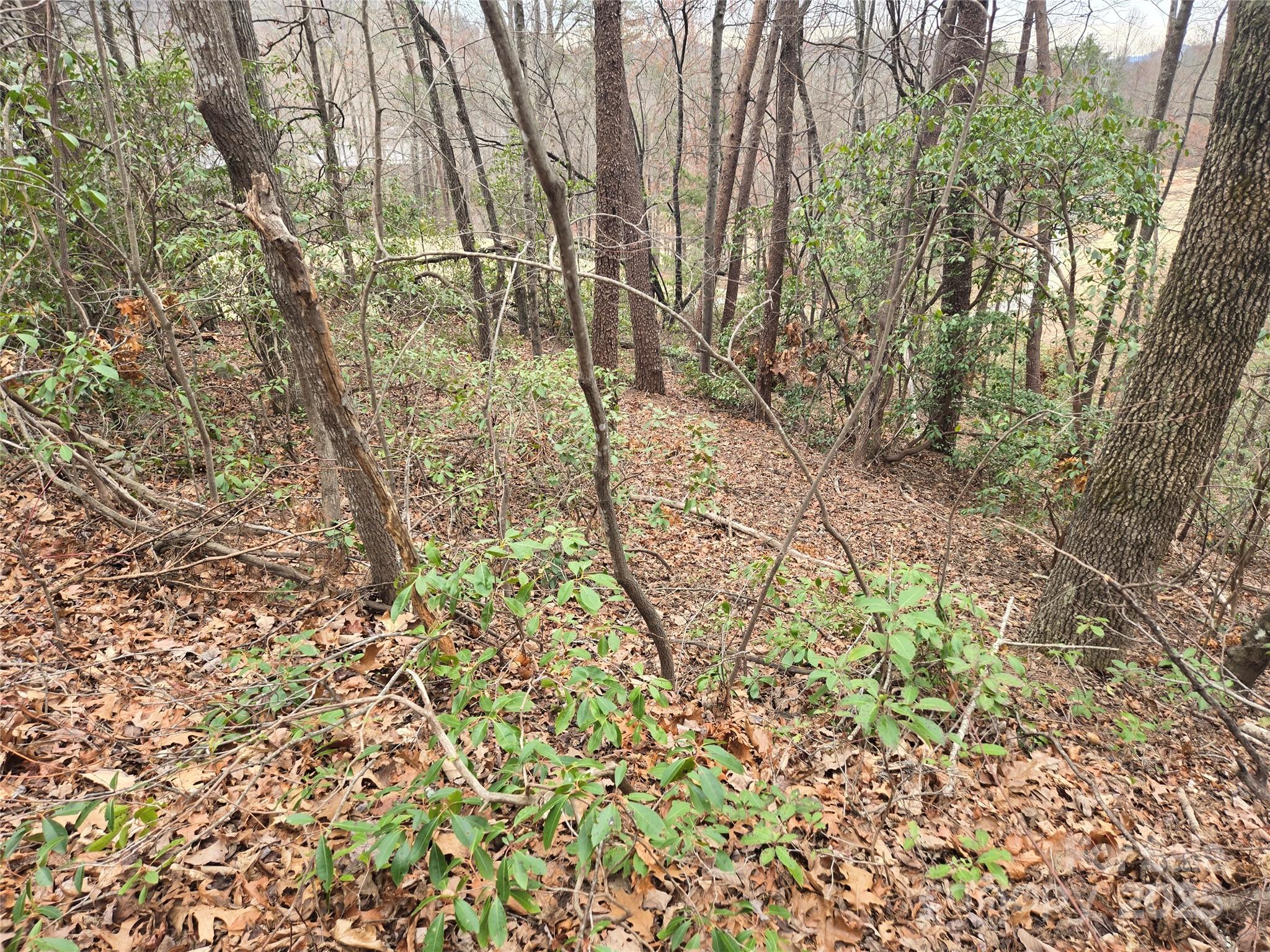 Lot 28 Roundabout Road