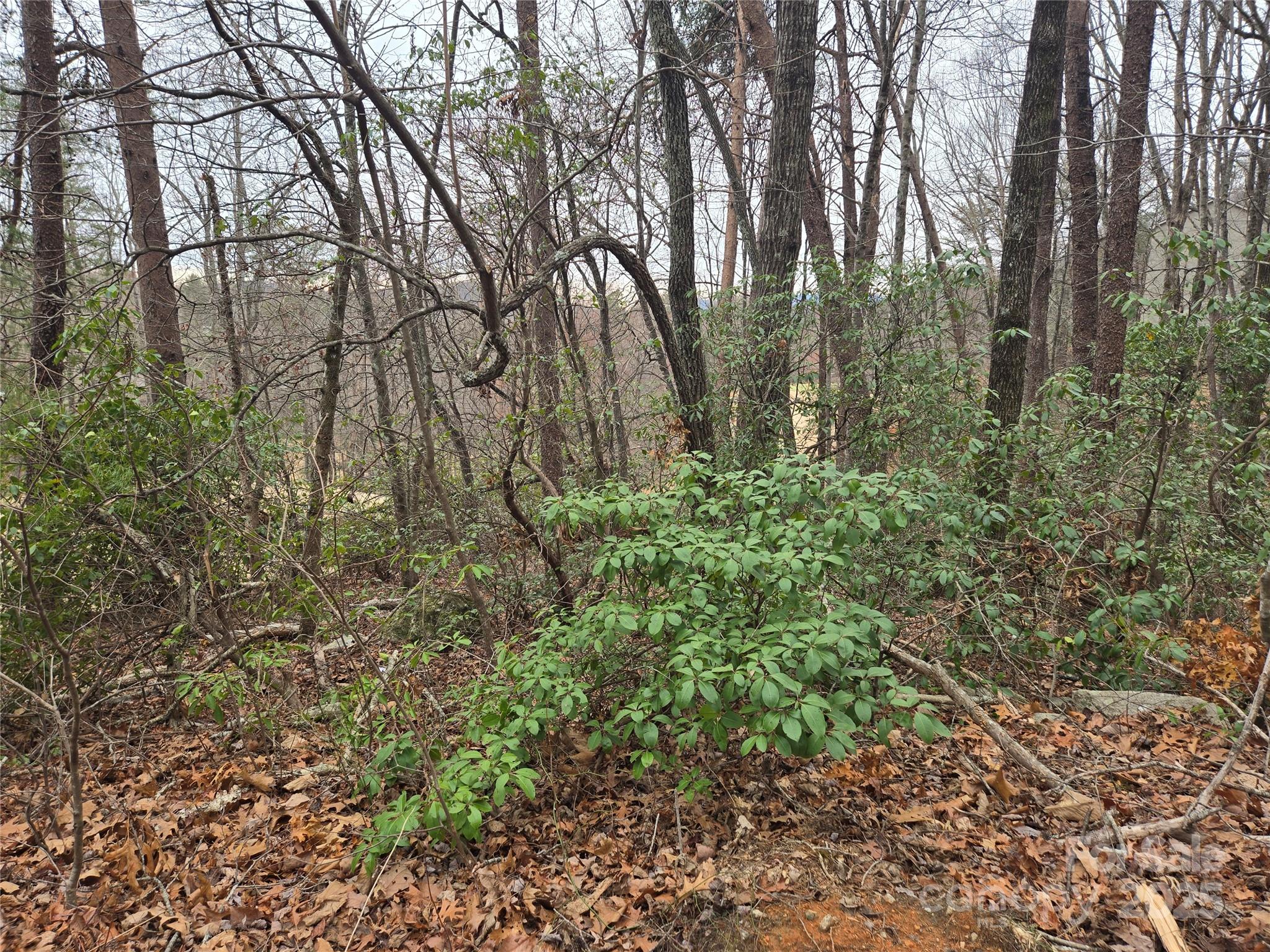 Lot 28 Roundabout Road