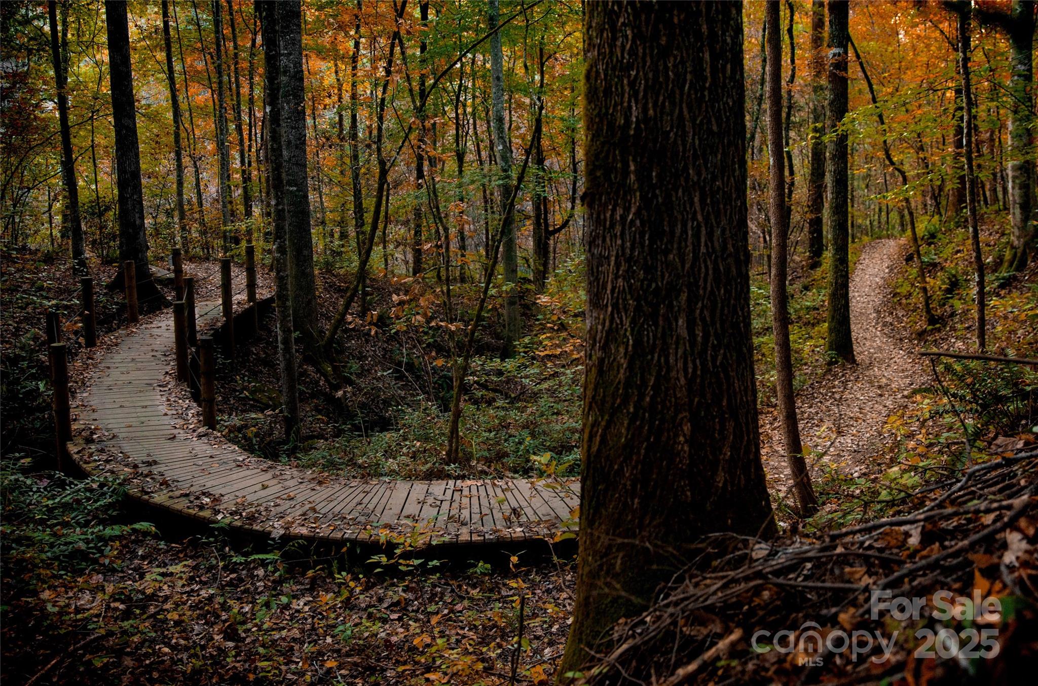 Rumbling Bald on Lake Lure - Land