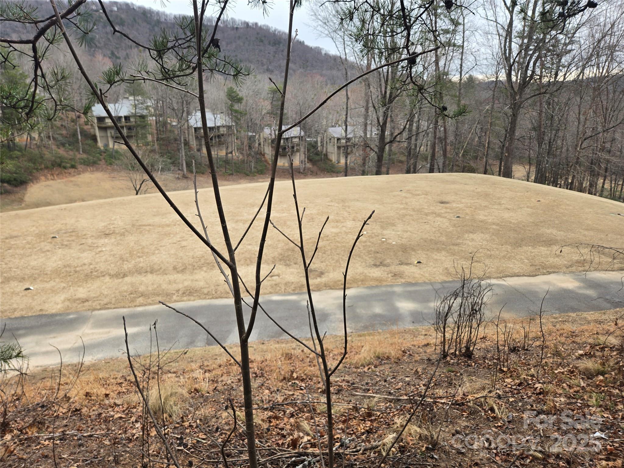Rumbling Bald on Lake Lure - Land