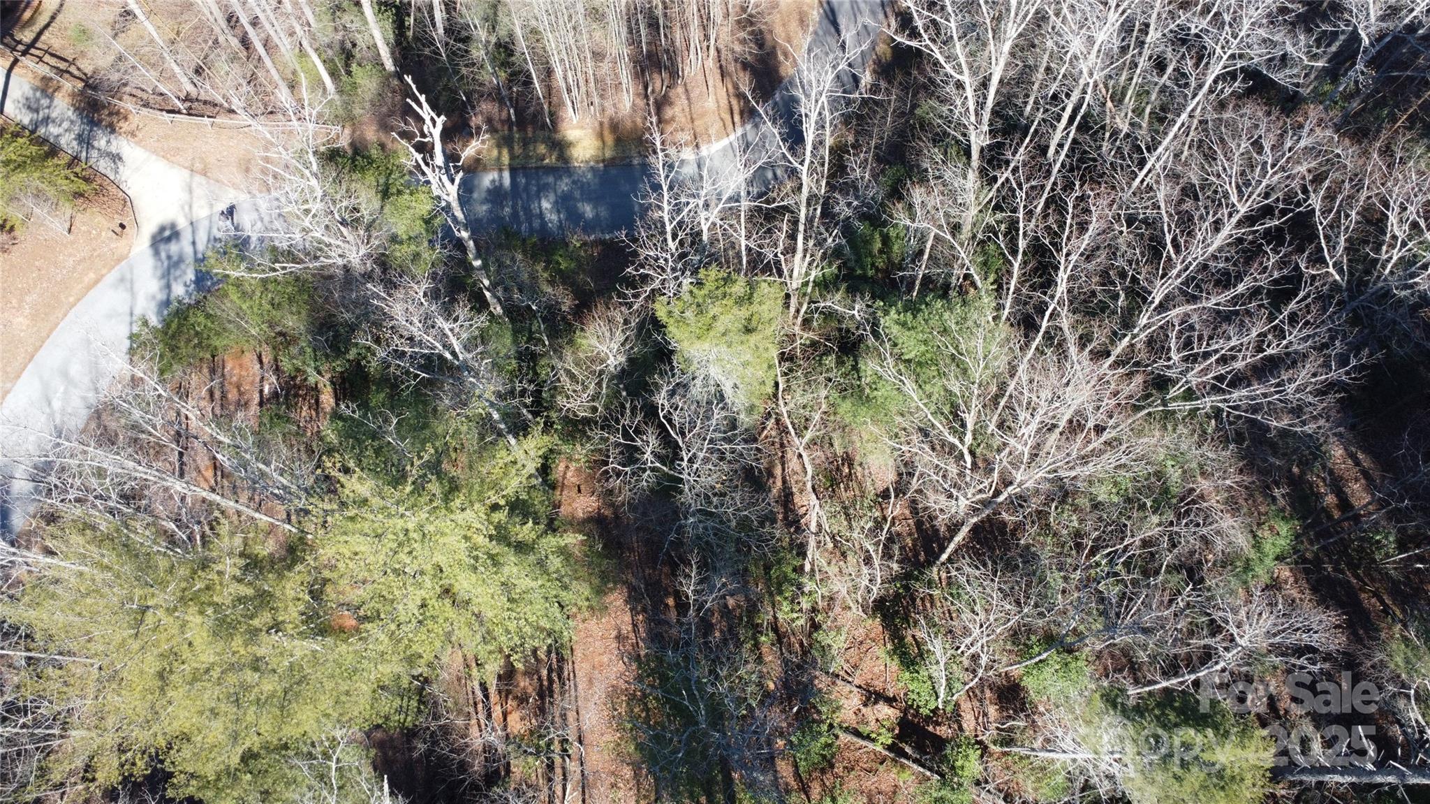 444 Dockside Drive 17A