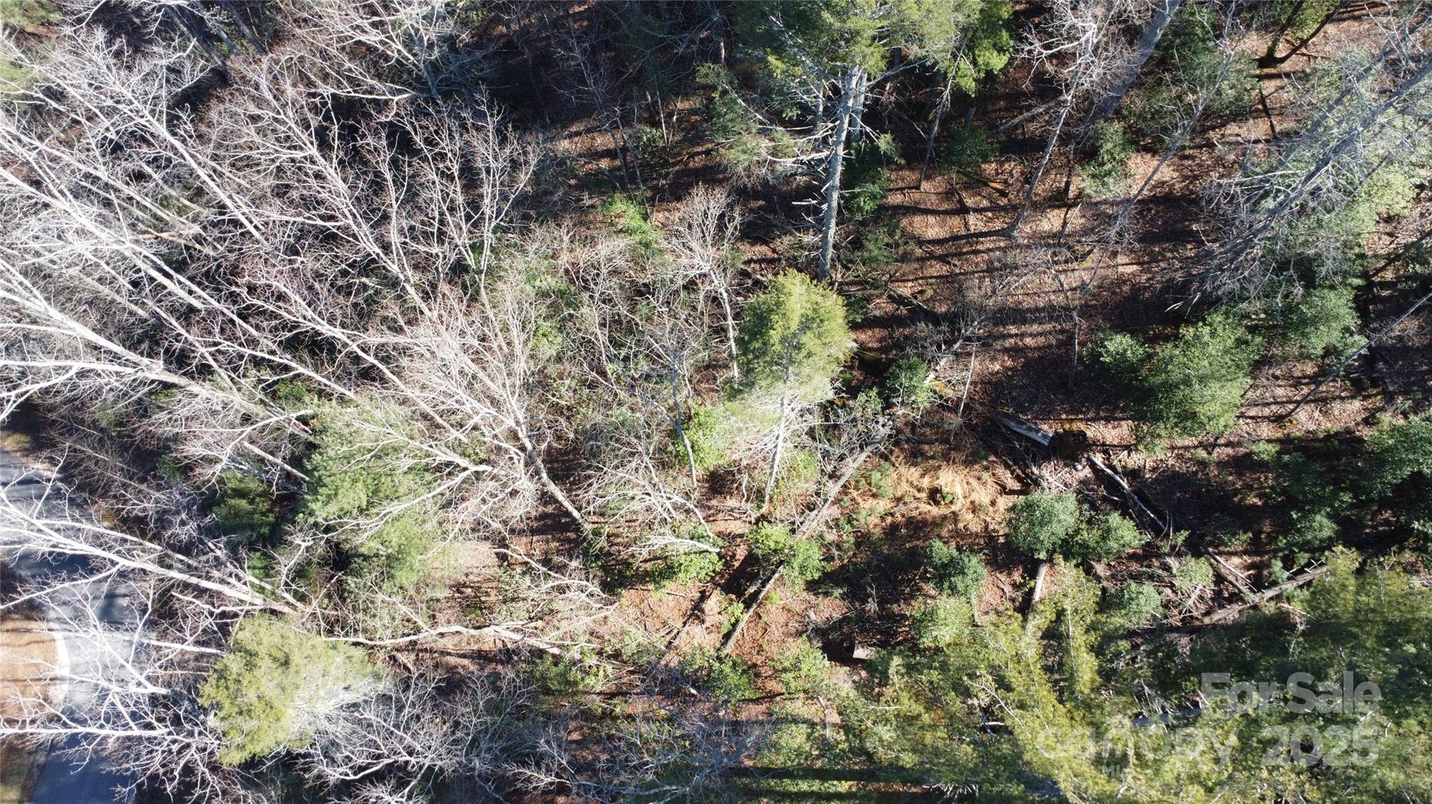 444 Dockside Drive 17A