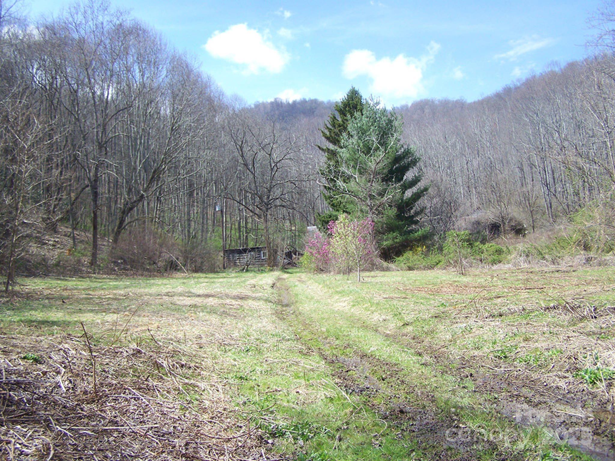58 Collier Lane