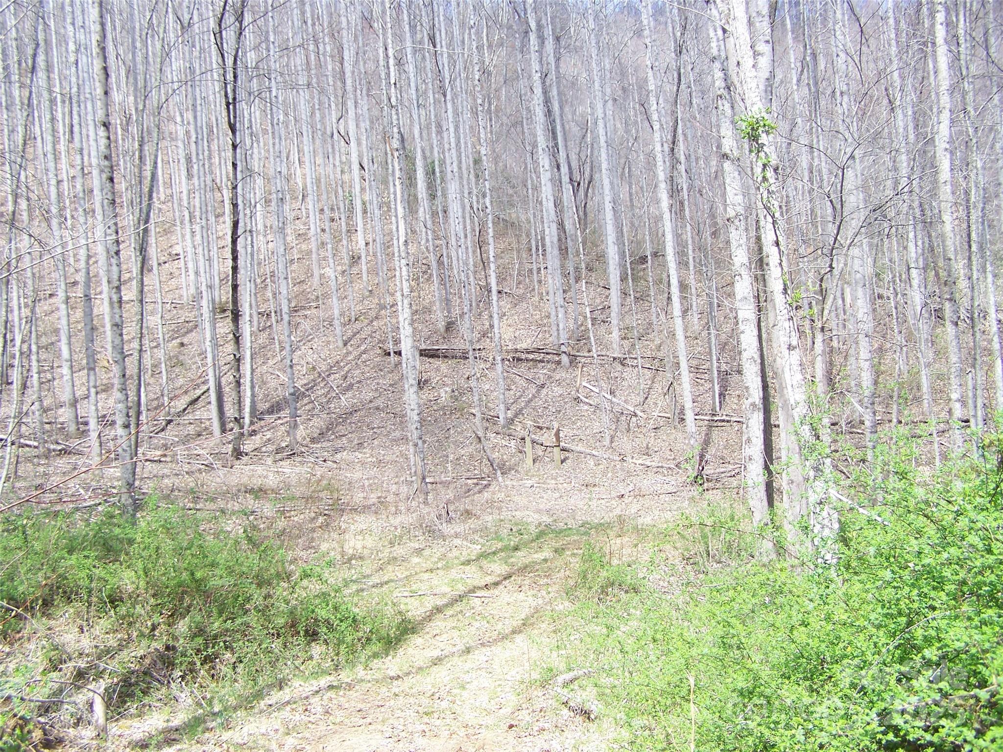 58 Collier Lane