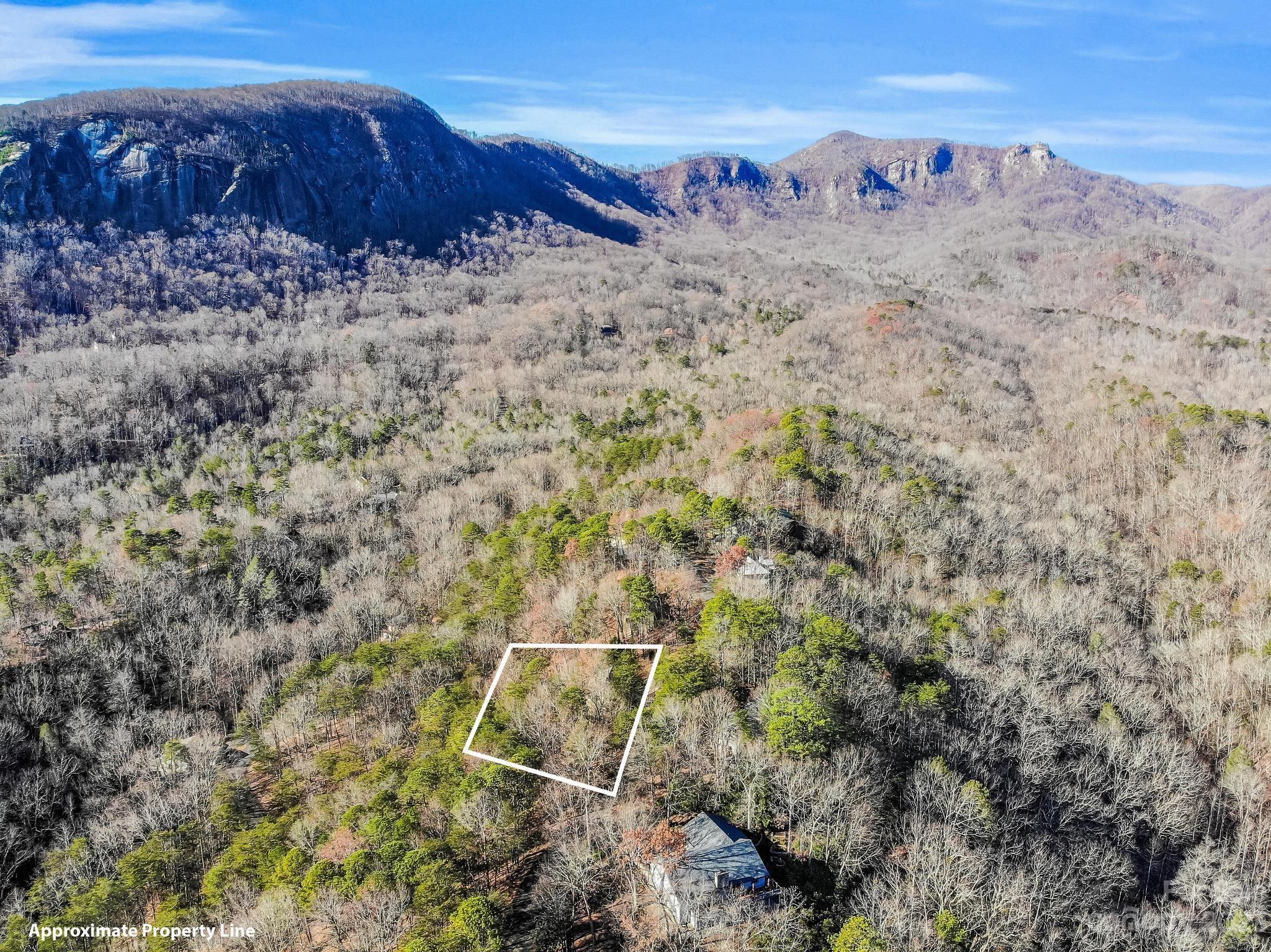 Rumbling Bald on Lake Lure - Residential