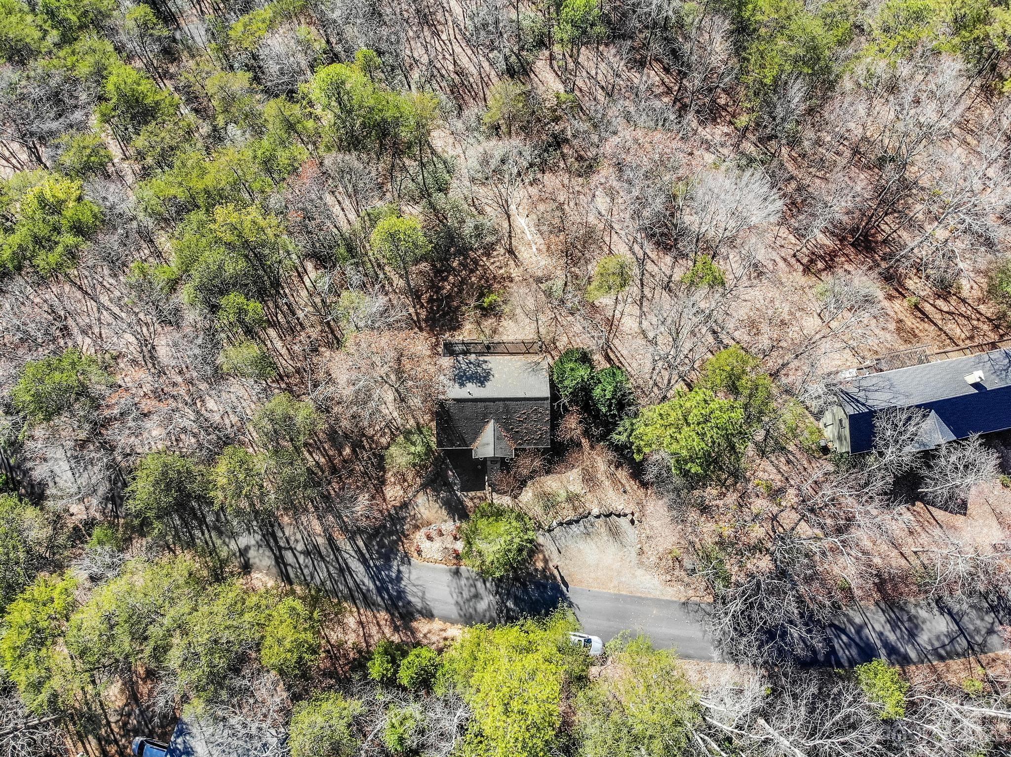 Rumbling Bald on Lake Lure - Residential