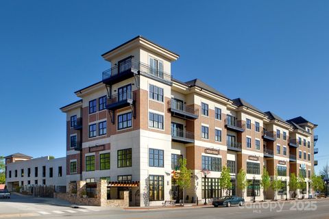 29 W French Broad Street 201 Brevard NC 28712