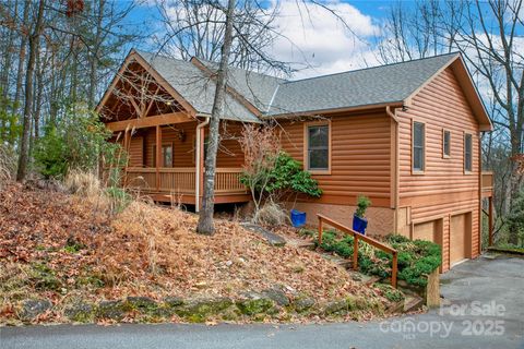 42 Tsitsi Court Brevard NC 28712