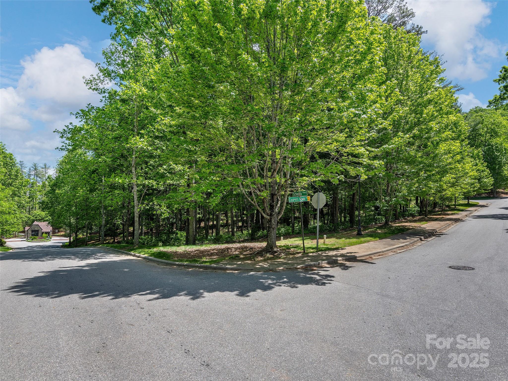 404 Coopers Hawk Drive
