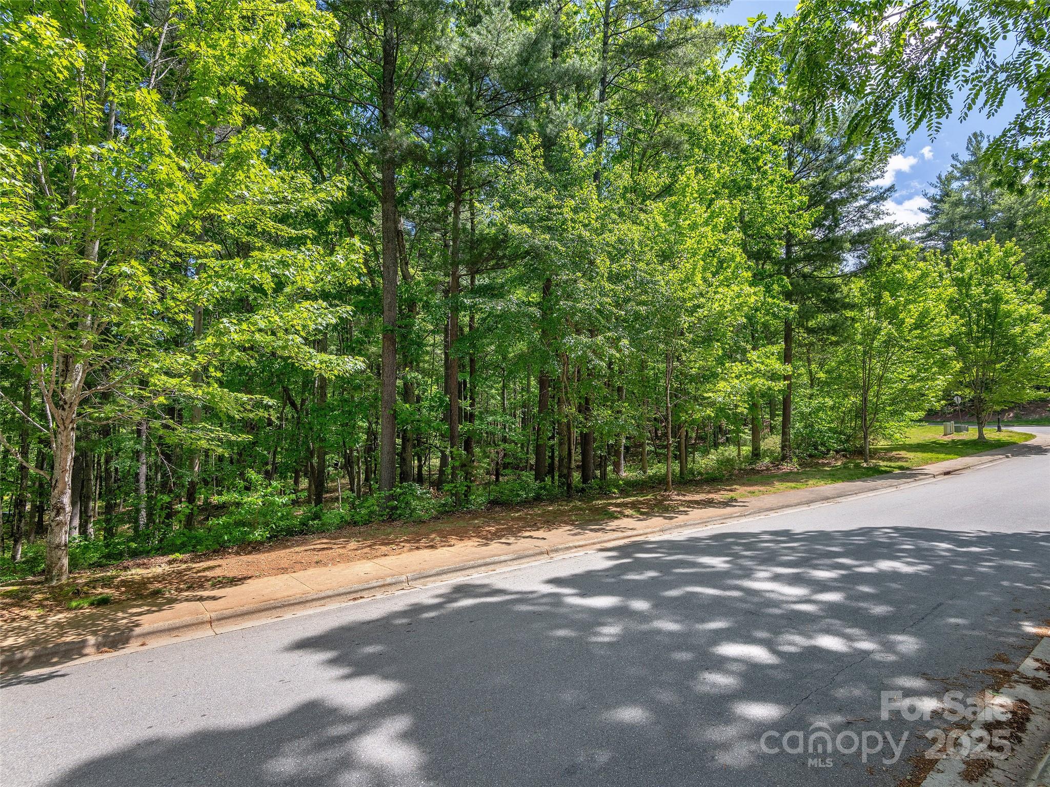 404 Coopers Hawk Drive