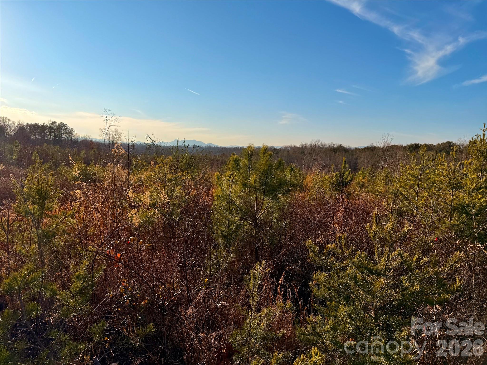 0 Brady Hampton Drive