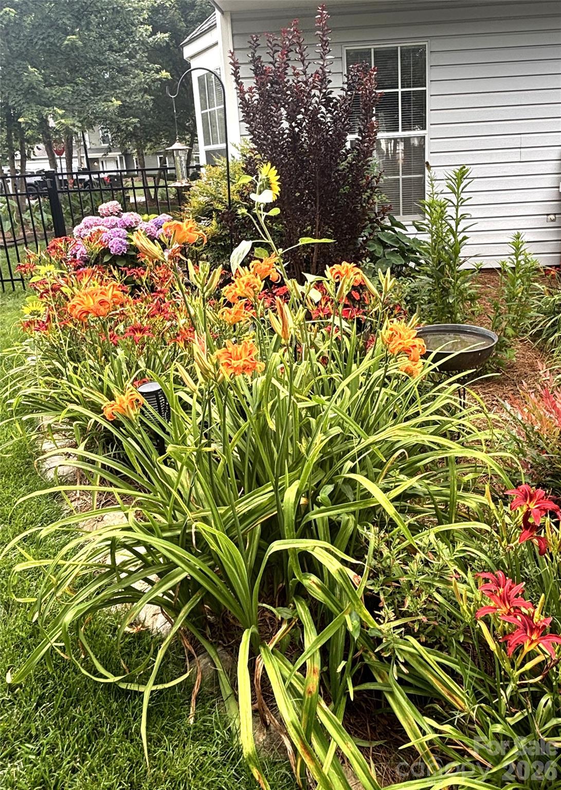 9800 Beaver Hollow Court