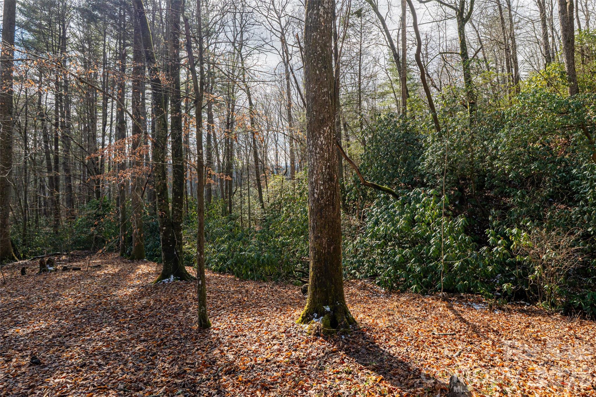 Forge Mountain Acres - Residential