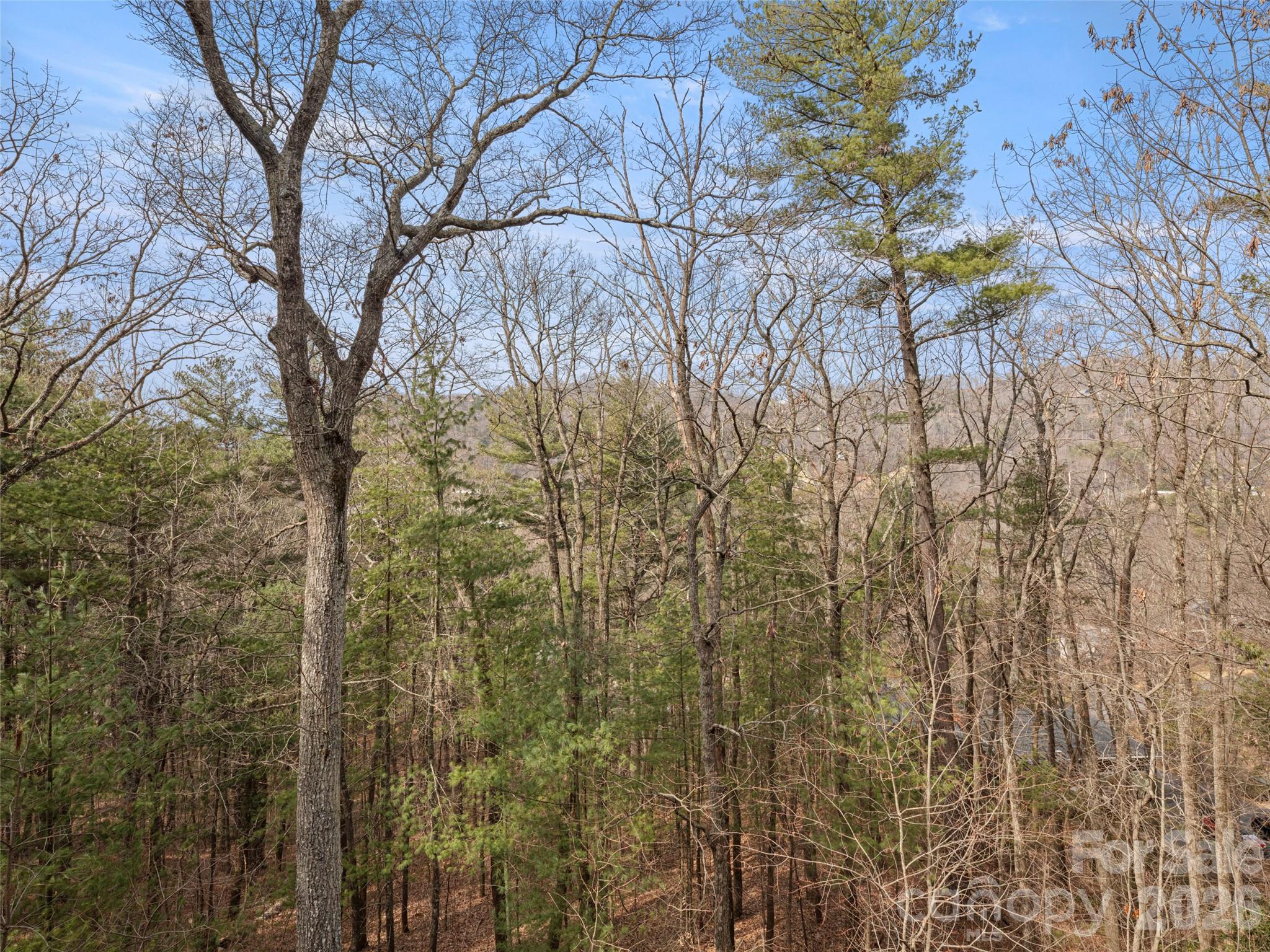 Chunns Cove Heights - Residential