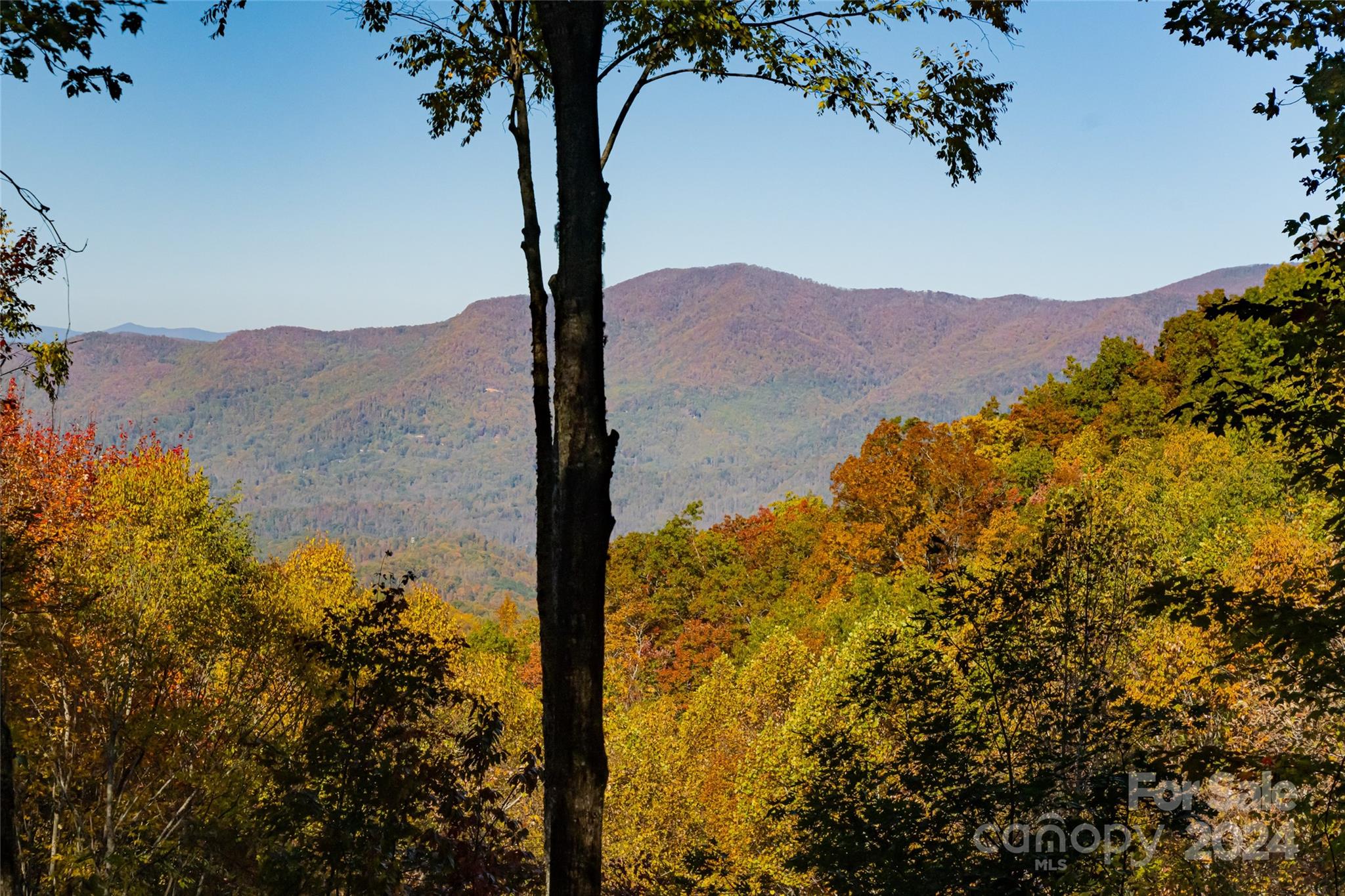 Balsam Mountain Preserve - Residential