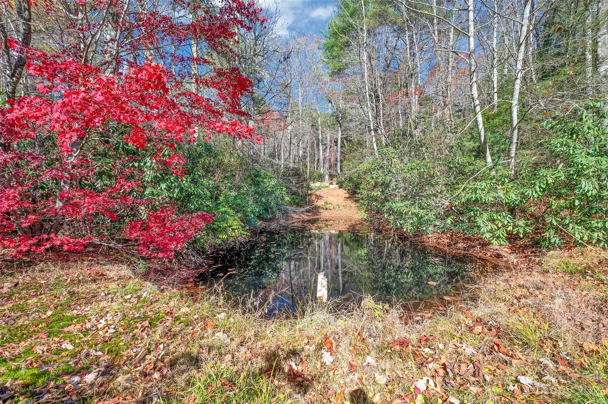 Lake Toxaway Estates - Residential