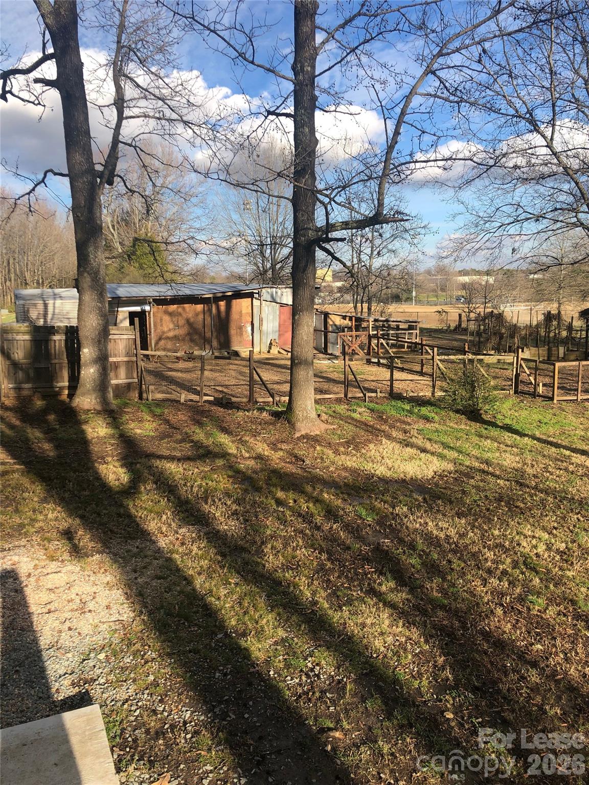 None - Residential Lease