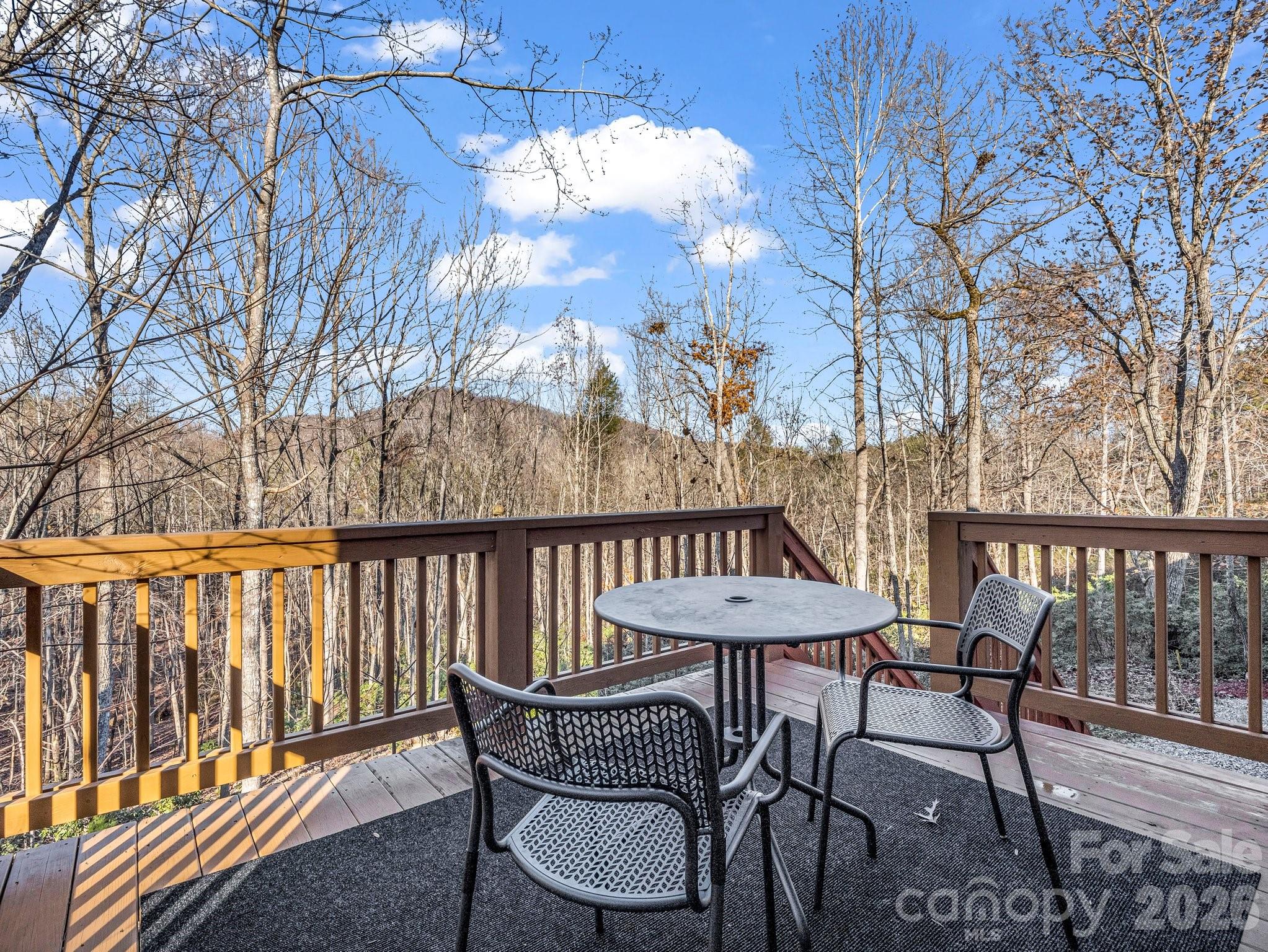 Rumbling Bald on Lake Lure - Residential