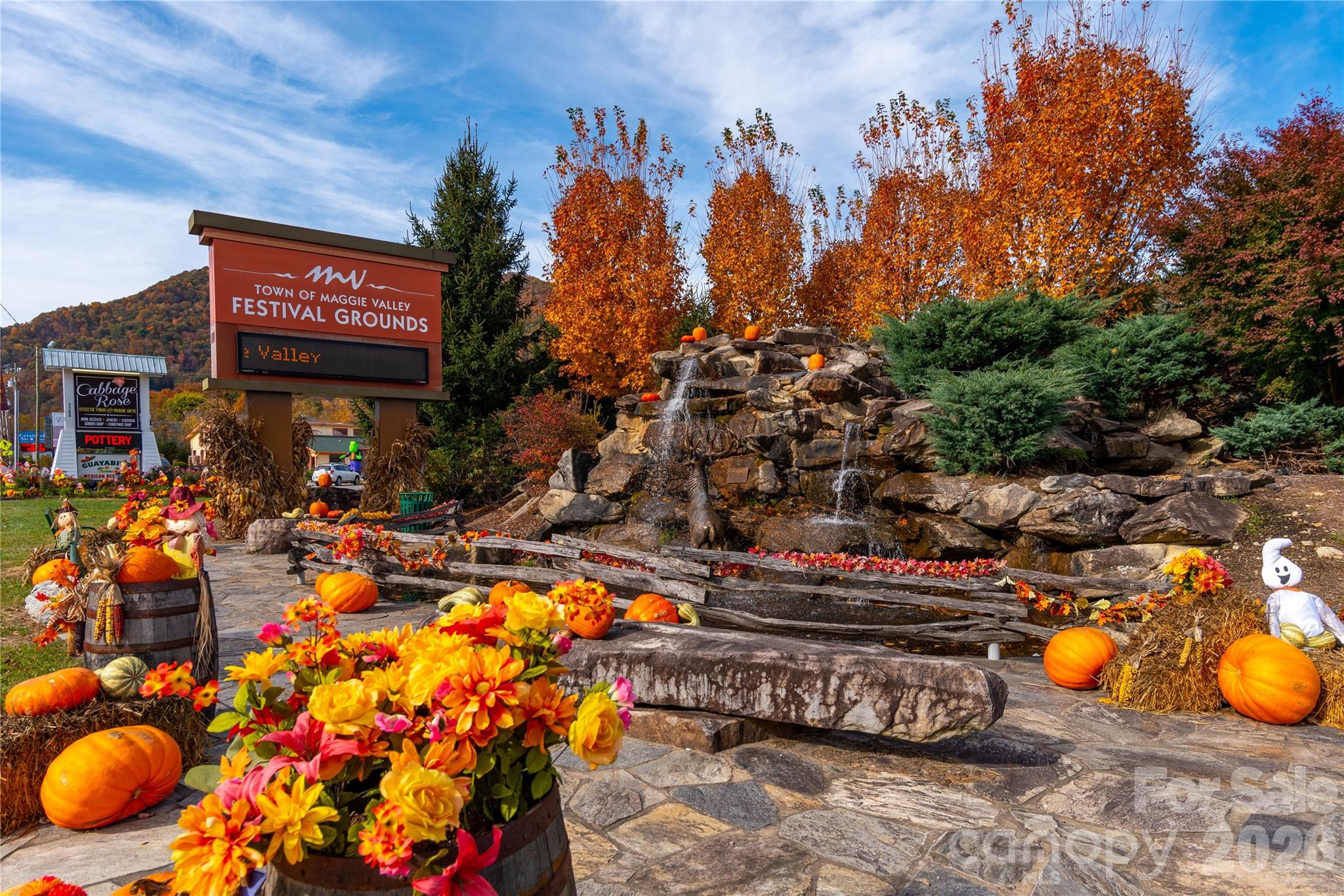 Mountain View Estates - Land