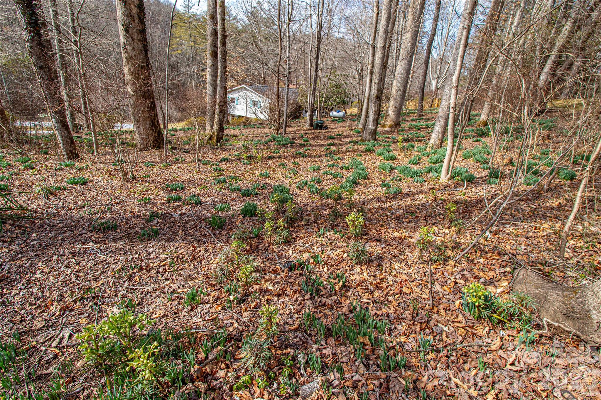 Pleasant Hills - Residential