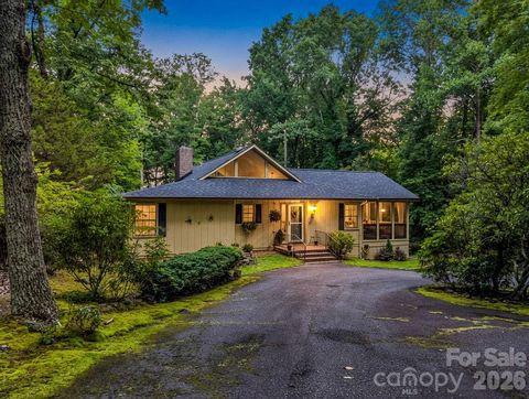 Photo of 390 Mountain Laurel Drive, Columbus, NC 28722 (MLS # 4399139)