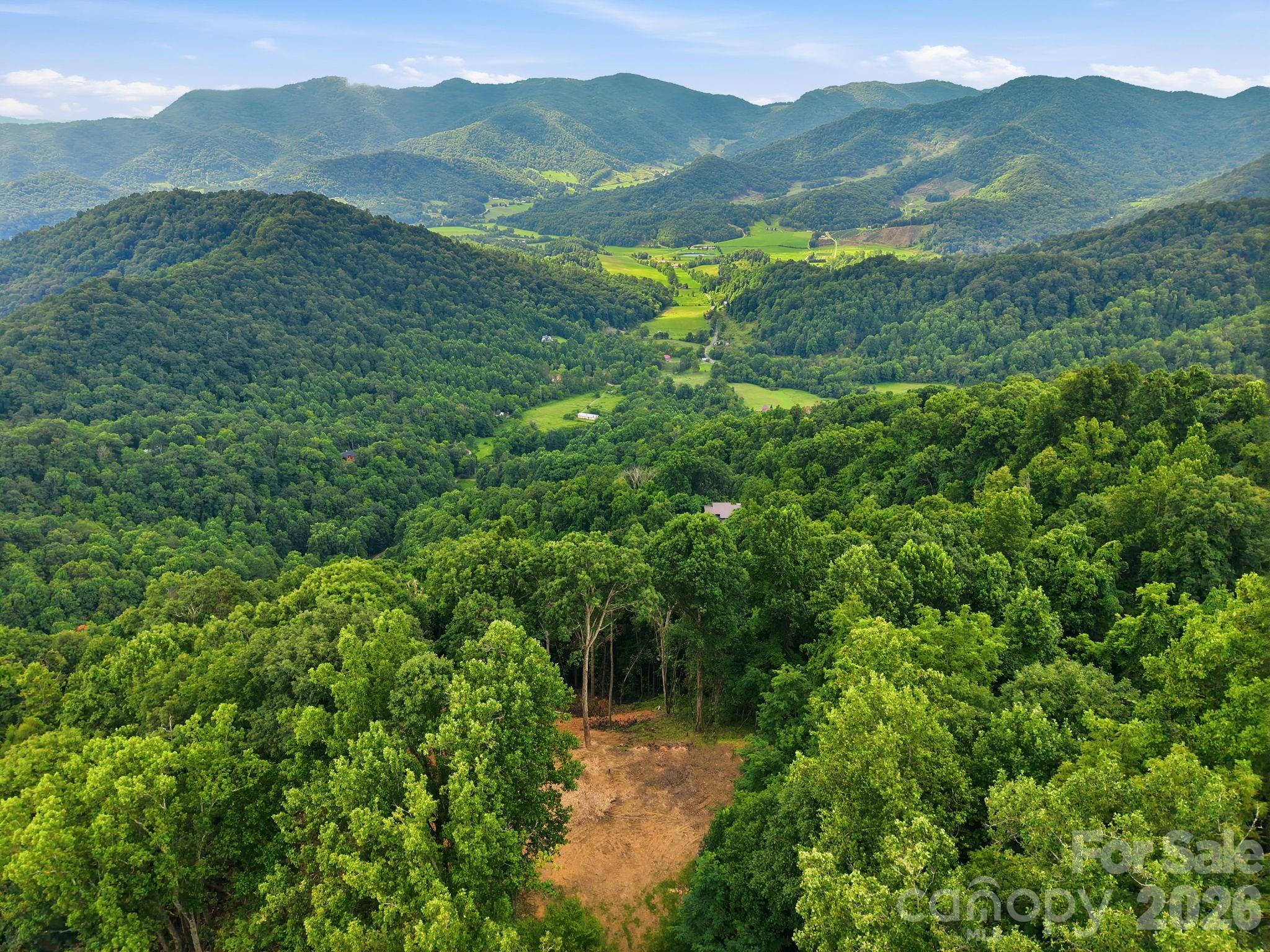99999 Davidson Gap Road 79
