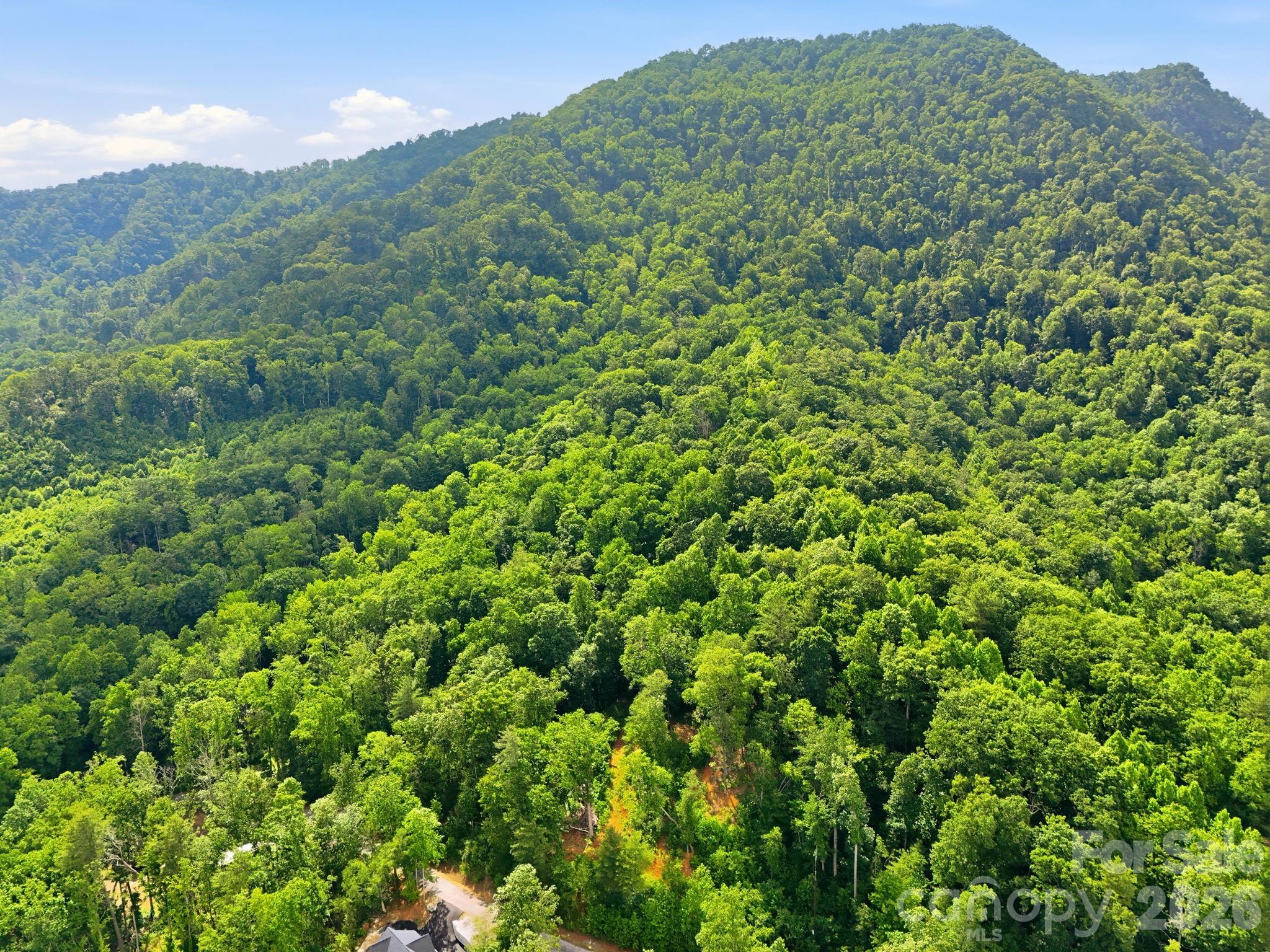 0000 Rocky Branch Trail