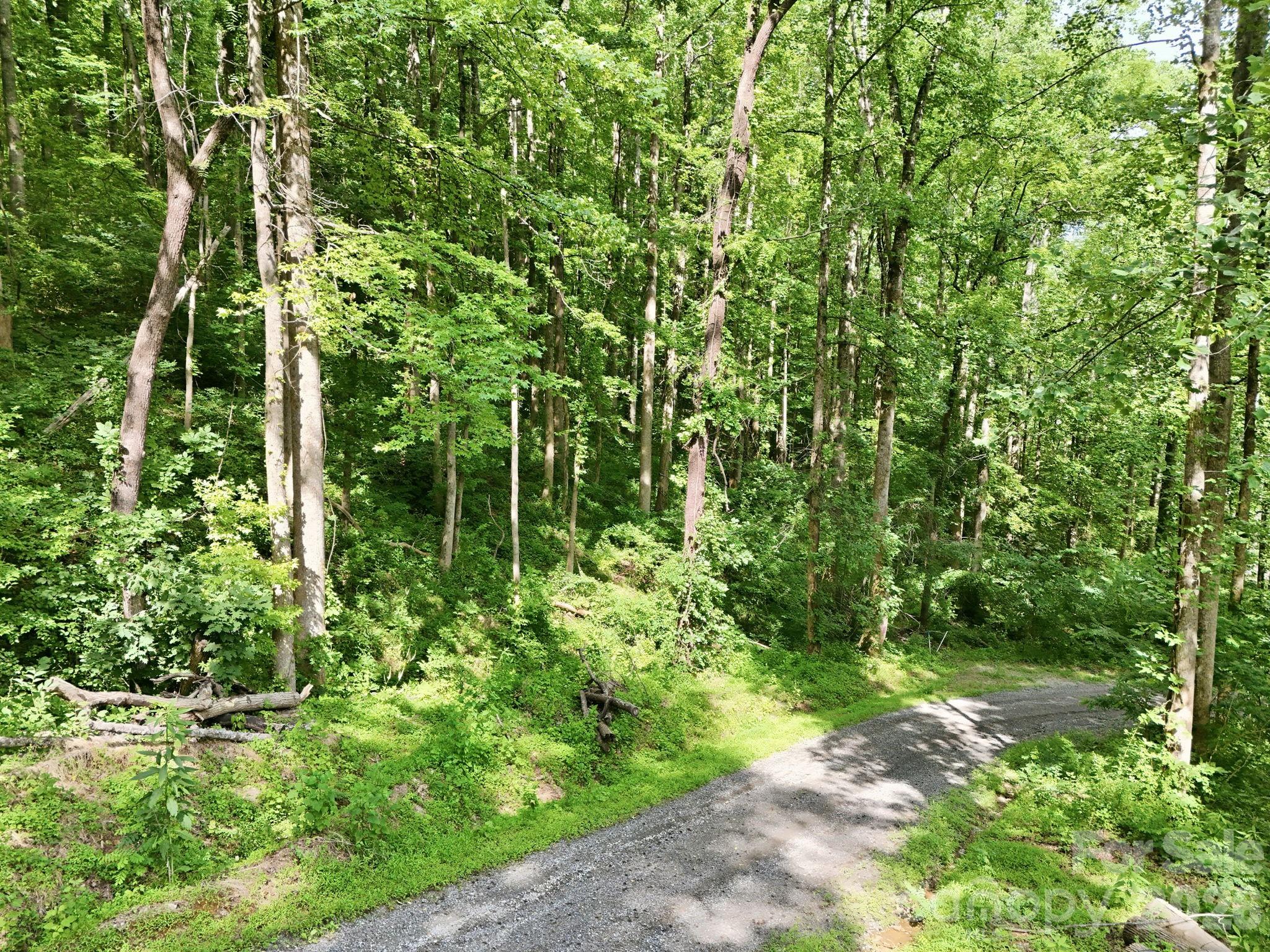0000 Rocky Branch Trail