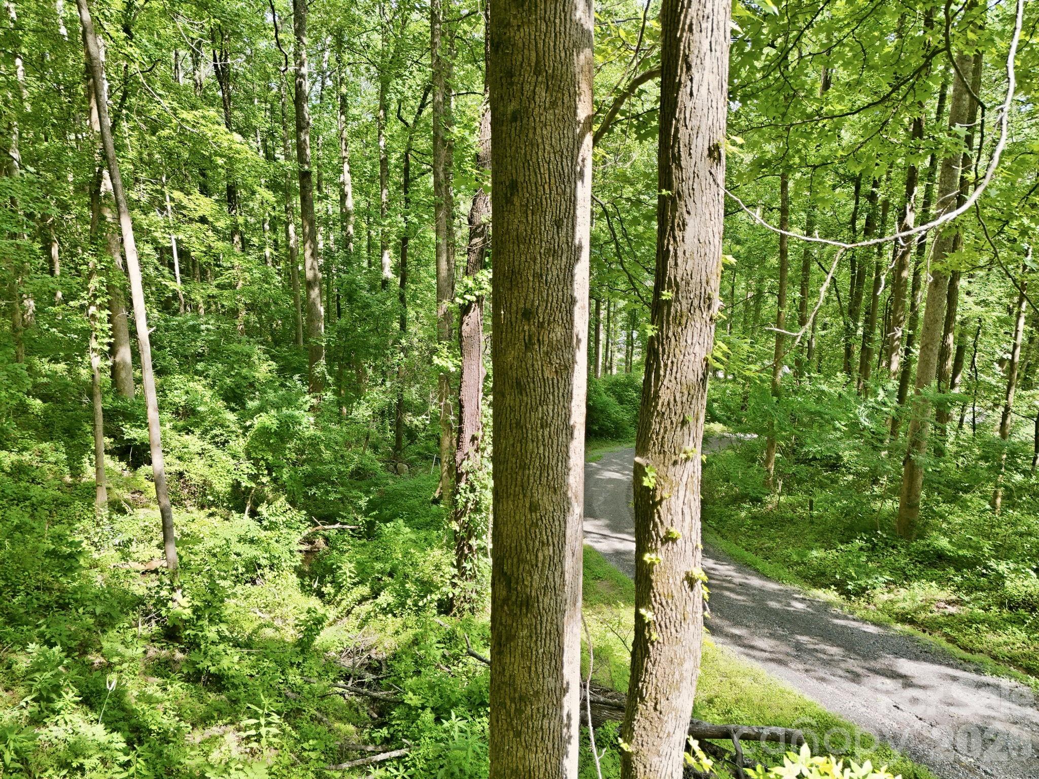 0000 Rocky Branch Trail