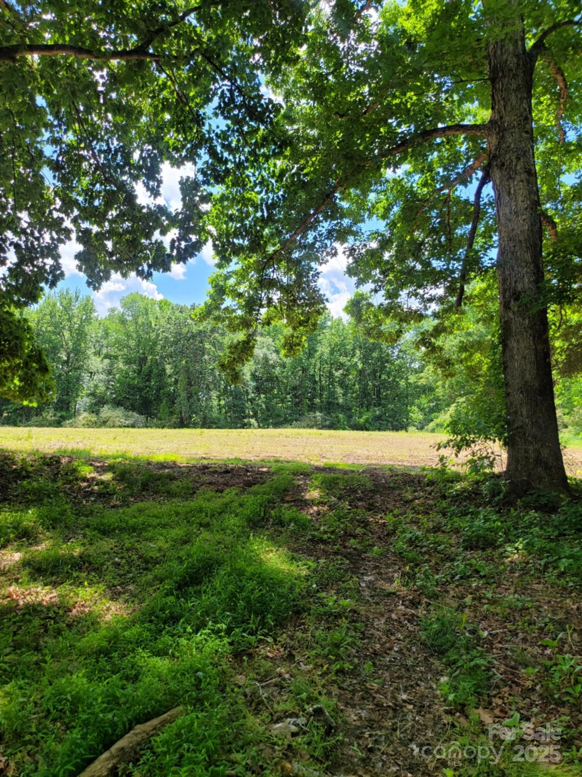 00 Millingport Road 1