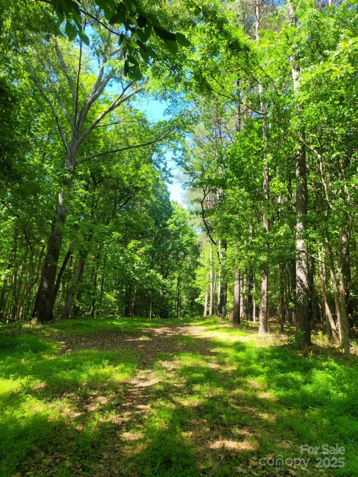 00 Millingport Road 1