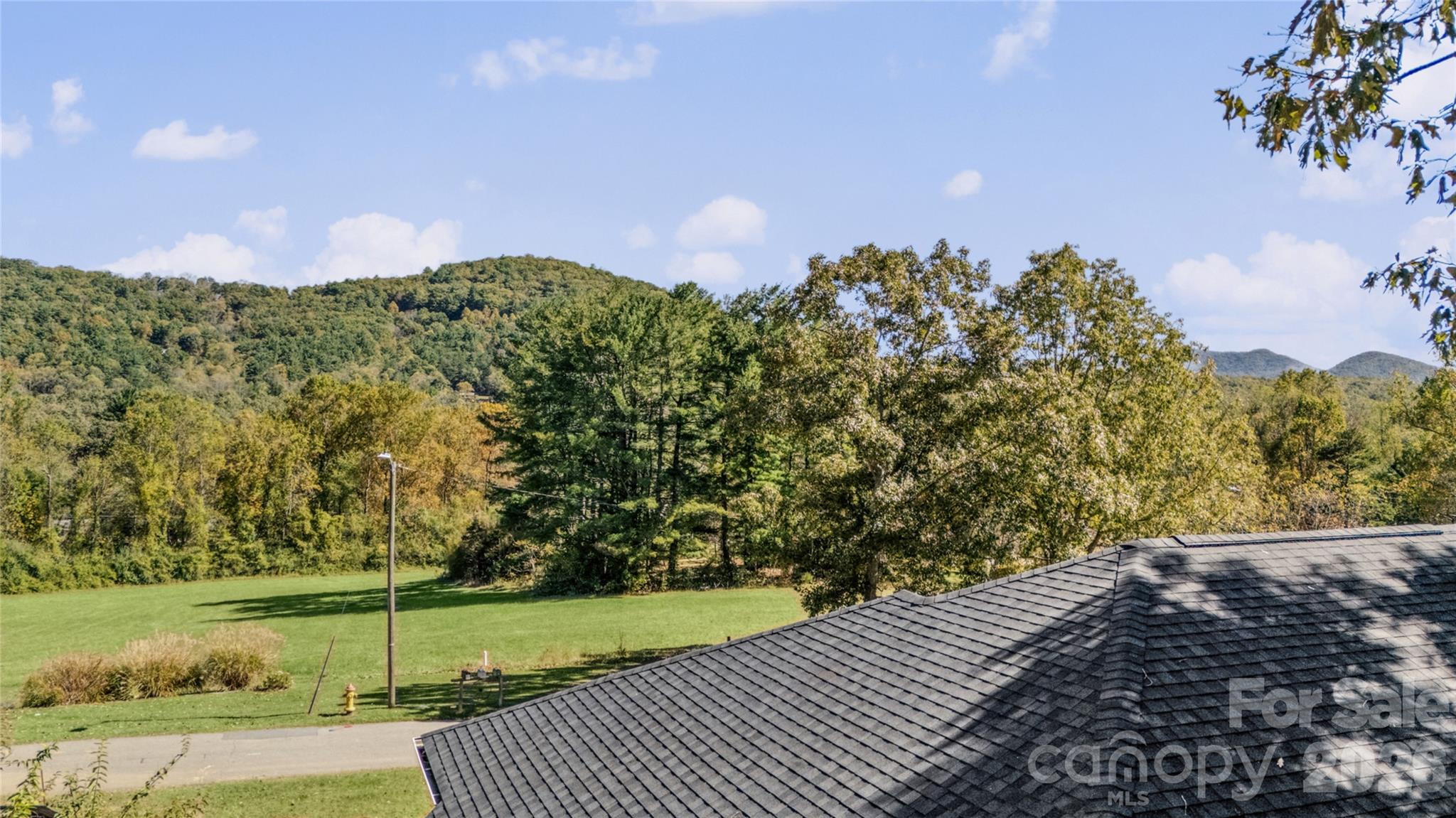 540 Old Haw Creek Road