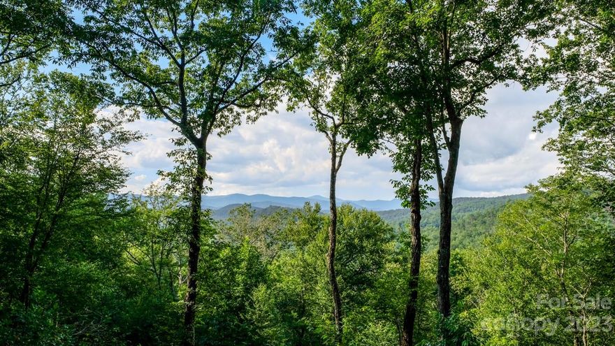 Build your dream home on this 2 acre lot in the Conservation focused community of Richland Ridge. This lot has unobstructed long distance views of Devils Courthouse and the Blue Ridge Parkway. Richland Ridge has only 25 lots on over 300 acres of land. The remaining land is held in conservation for the enjoyment of all the residents and the protection of the natural environment. Privacy and  conservation of natural beauty are two principal elements in the Richland Ridge lifestyle. This community also backs up to Pisgah National Forest and has a long stretch on the west fork of the French Broad River. Enjoy a day by the river and take advantage of the community fire pit and the rustic pavilion for family gatherings. If you fish you will find an abundance of trout in this stretch of the river. The natural beauty of this area is incredible and there also some very architecturally significant homes in this community. Come and see what your life could look like in Richland Ridge. See Video!