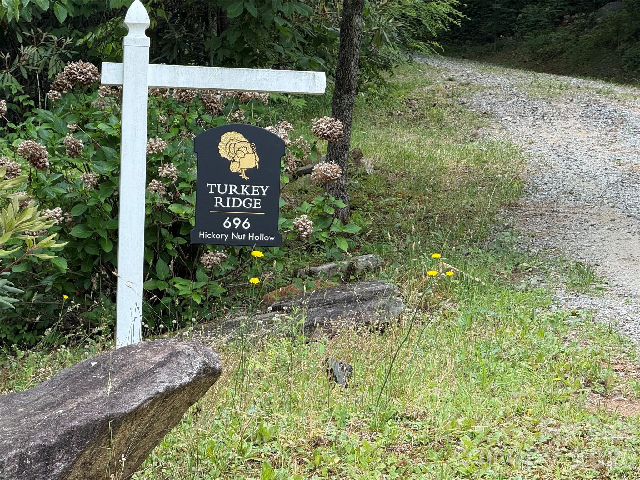 696 Hickory Nut Hollow