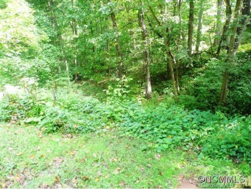 Rare find in West Asheville. Building lot for creative architect. Culvert on property so perfect for home in front and gardens in back.