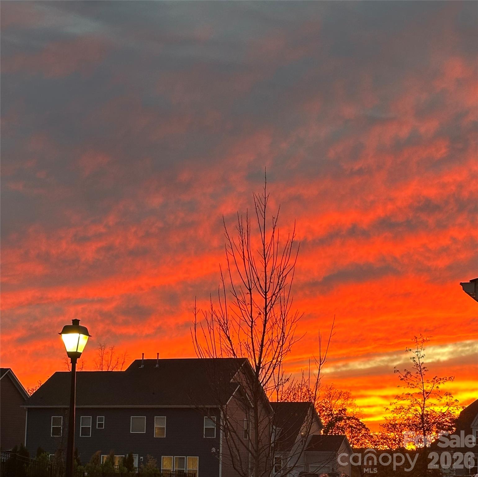 Reids Cove - Residential